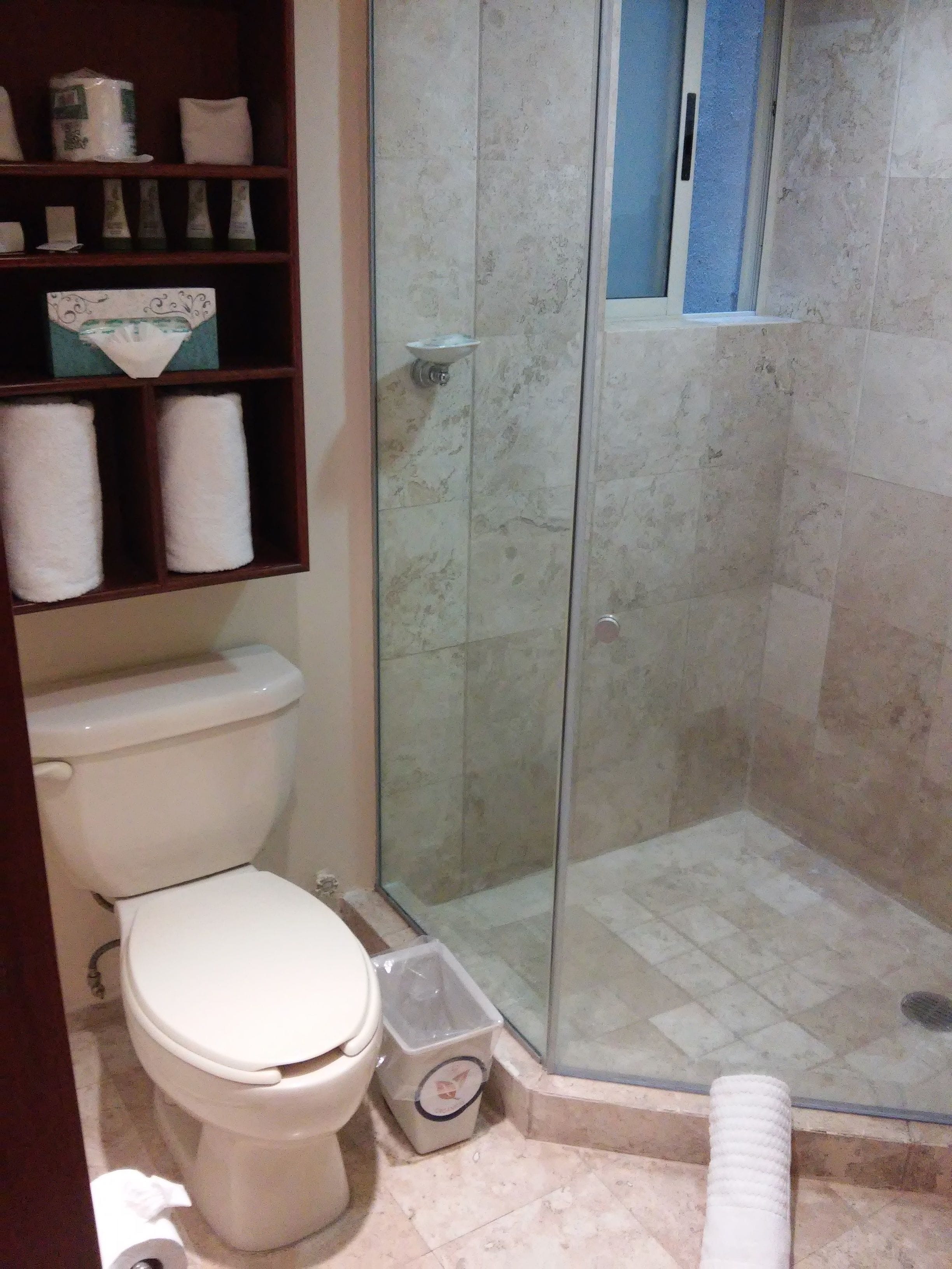 suite | bathroom | shower, free toiletries, hair dryer, towels