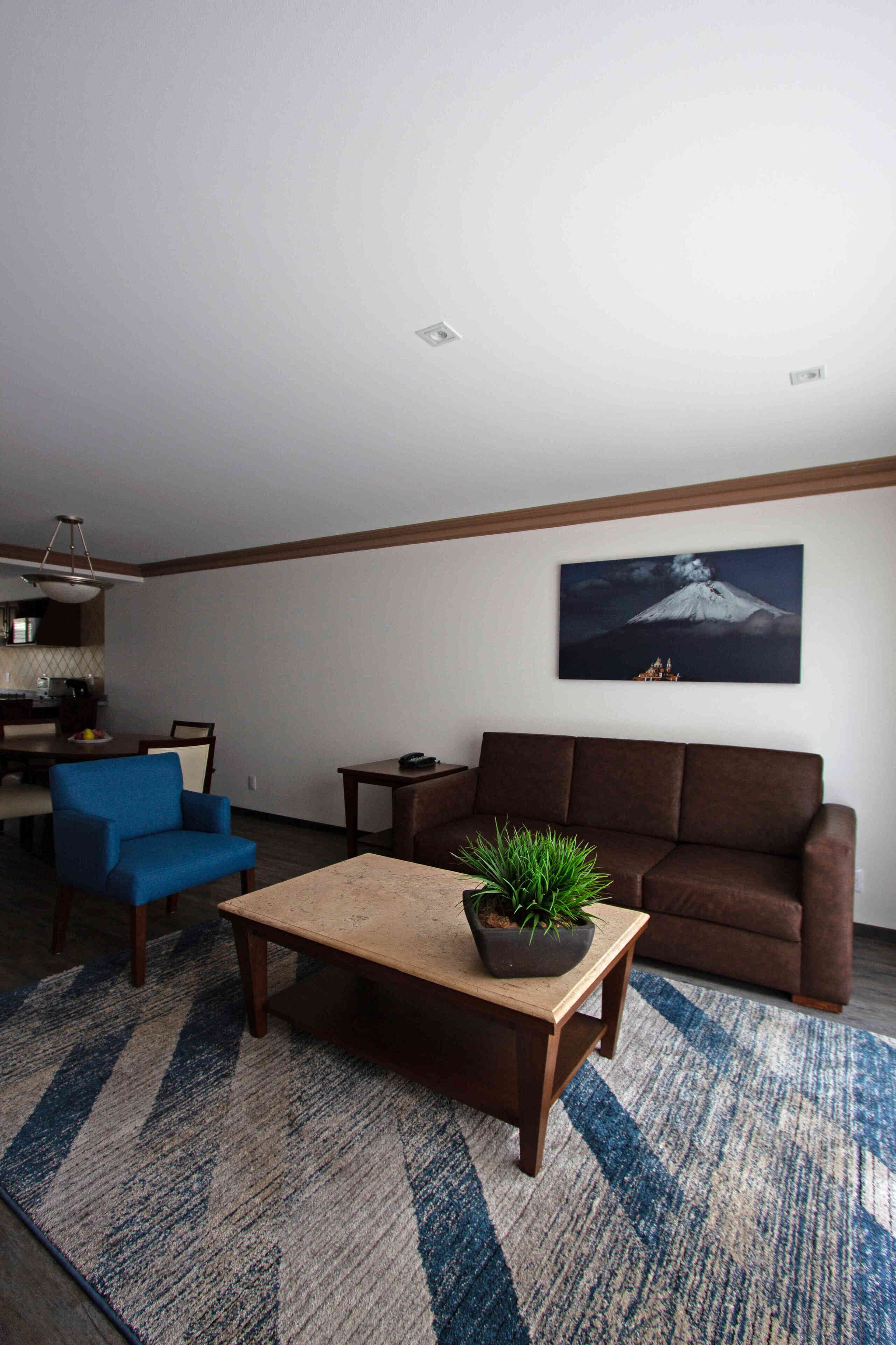 suite | living area | flat-screen tv