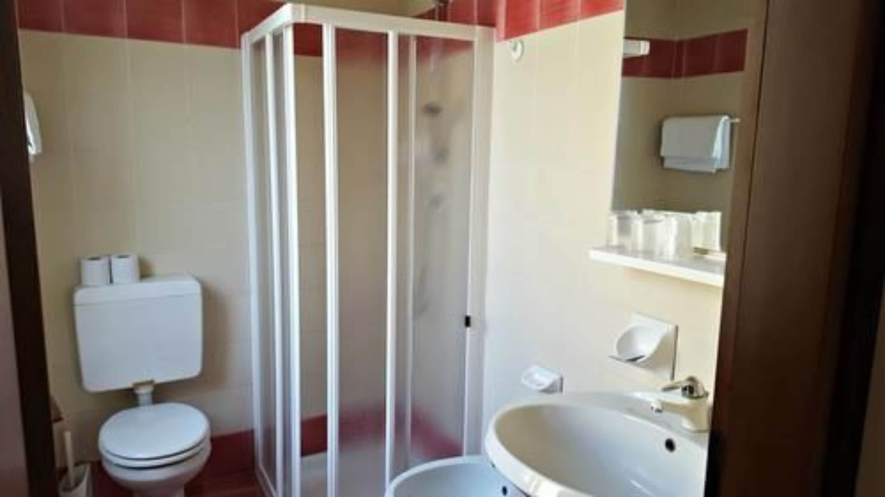 Une salle de bain comprenant des toilettes, un espace douche et un lavabo.