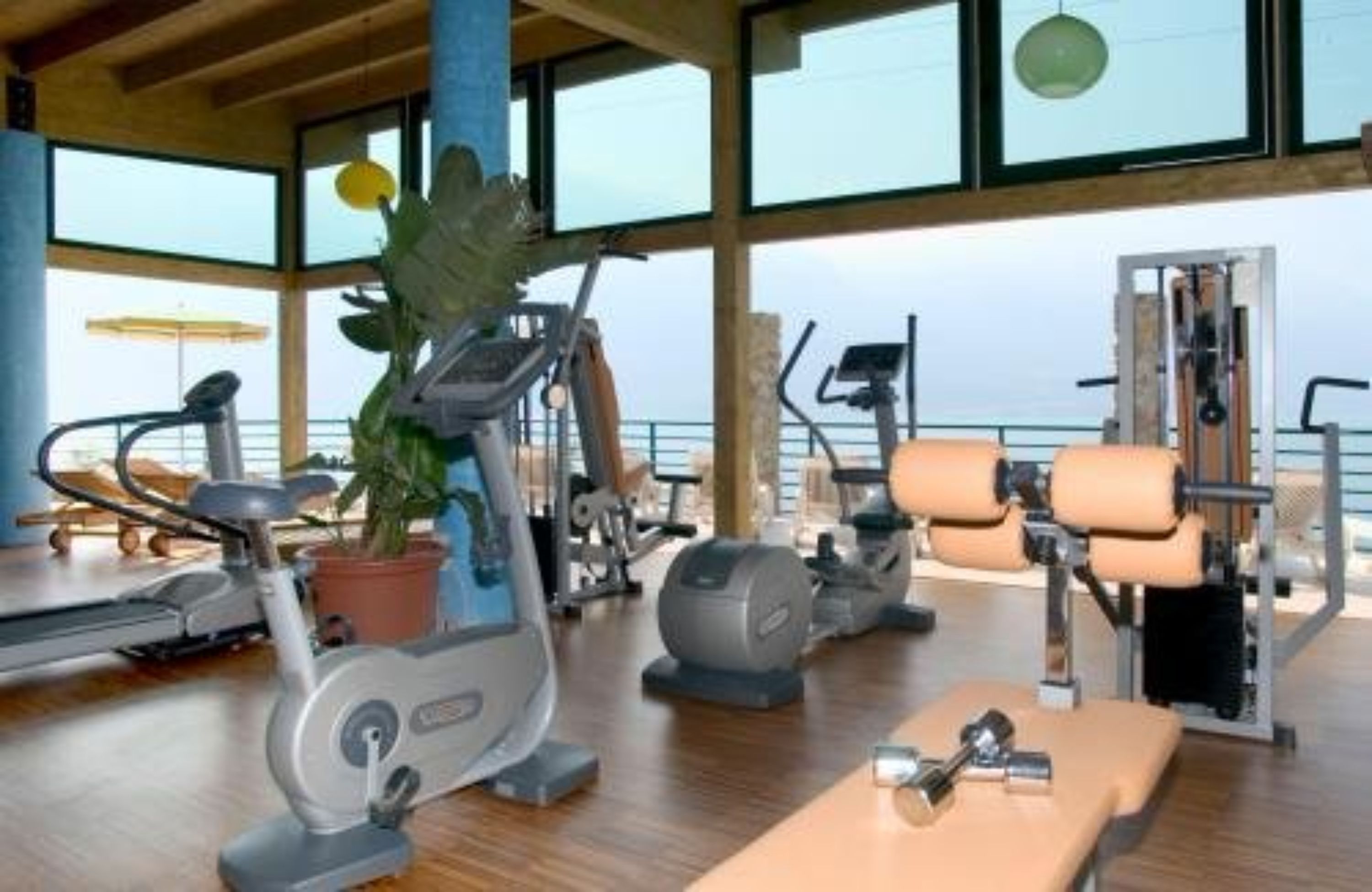 Ein Fitnessstudio mit Laufbändern, Krafttrainingsgeräten und einer Bank.