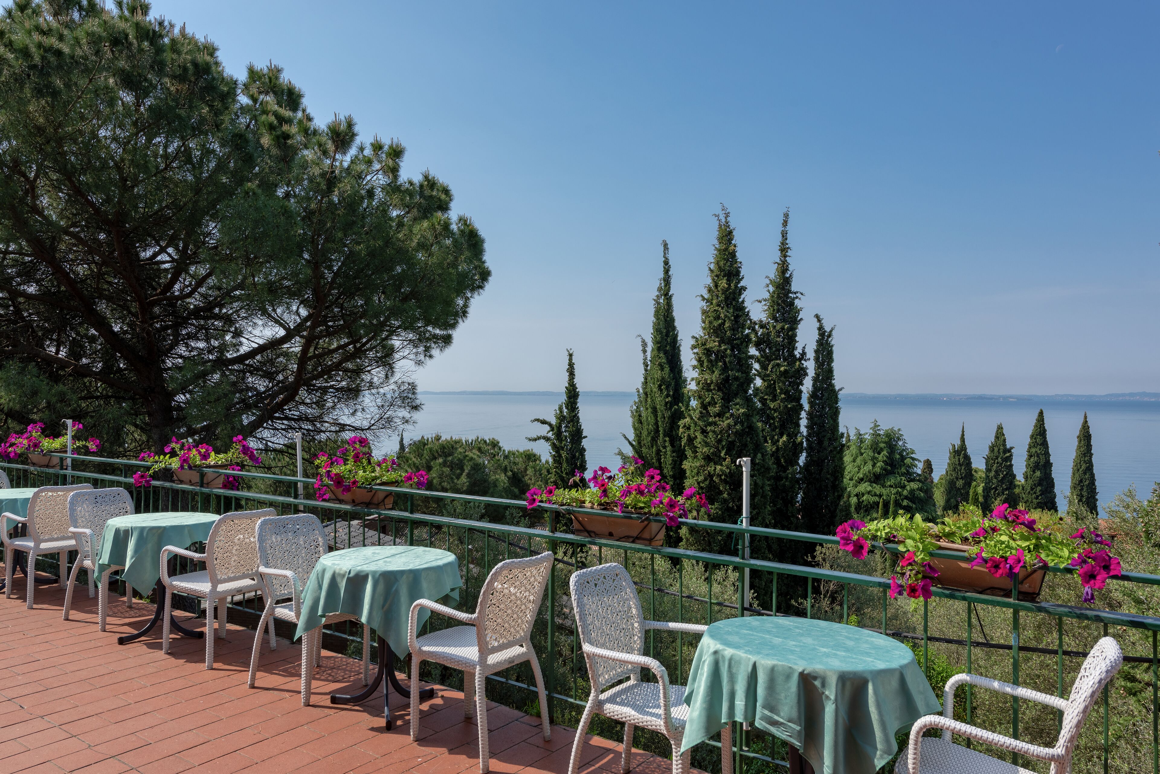 An outdoor seating area with tables and chairs, overlooking a body of water and surrounded by trees.