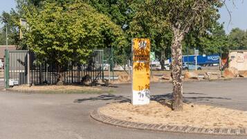 Un cartel con texto en varios idiomas, un árbol, una valla y una carretera.