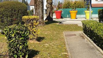 A pathway leading to a large tree with a unique trunk structure, surrounded by small bushes and potted plants.