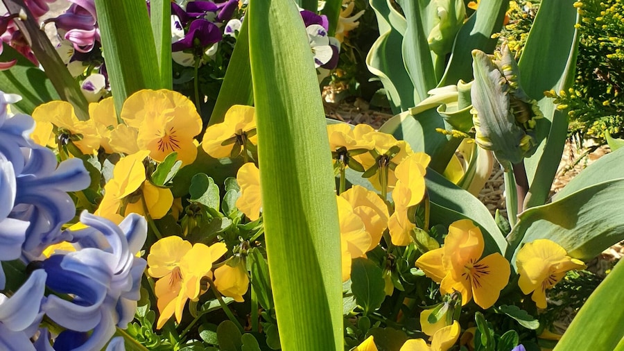 Premiere Classe Besancon - Ecole Valentin