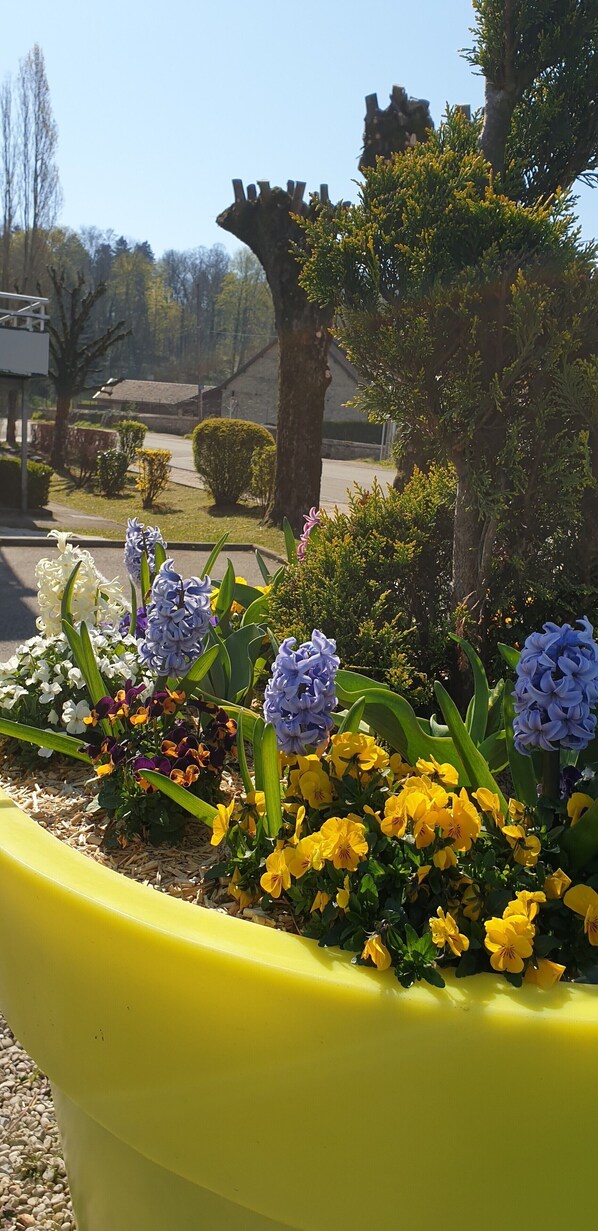 Una jardinera amarilla con diversas flores.