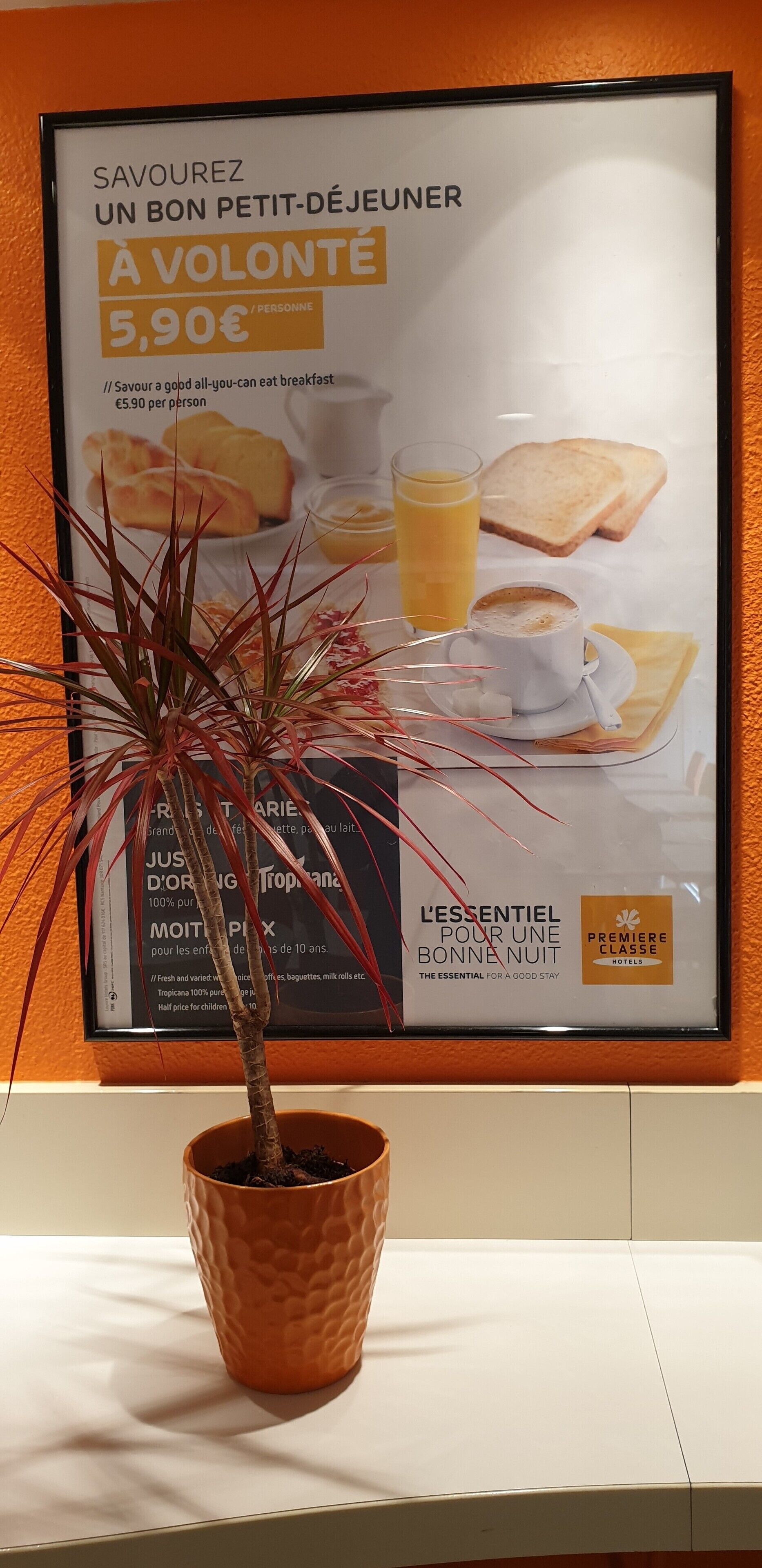 Servei de restauració