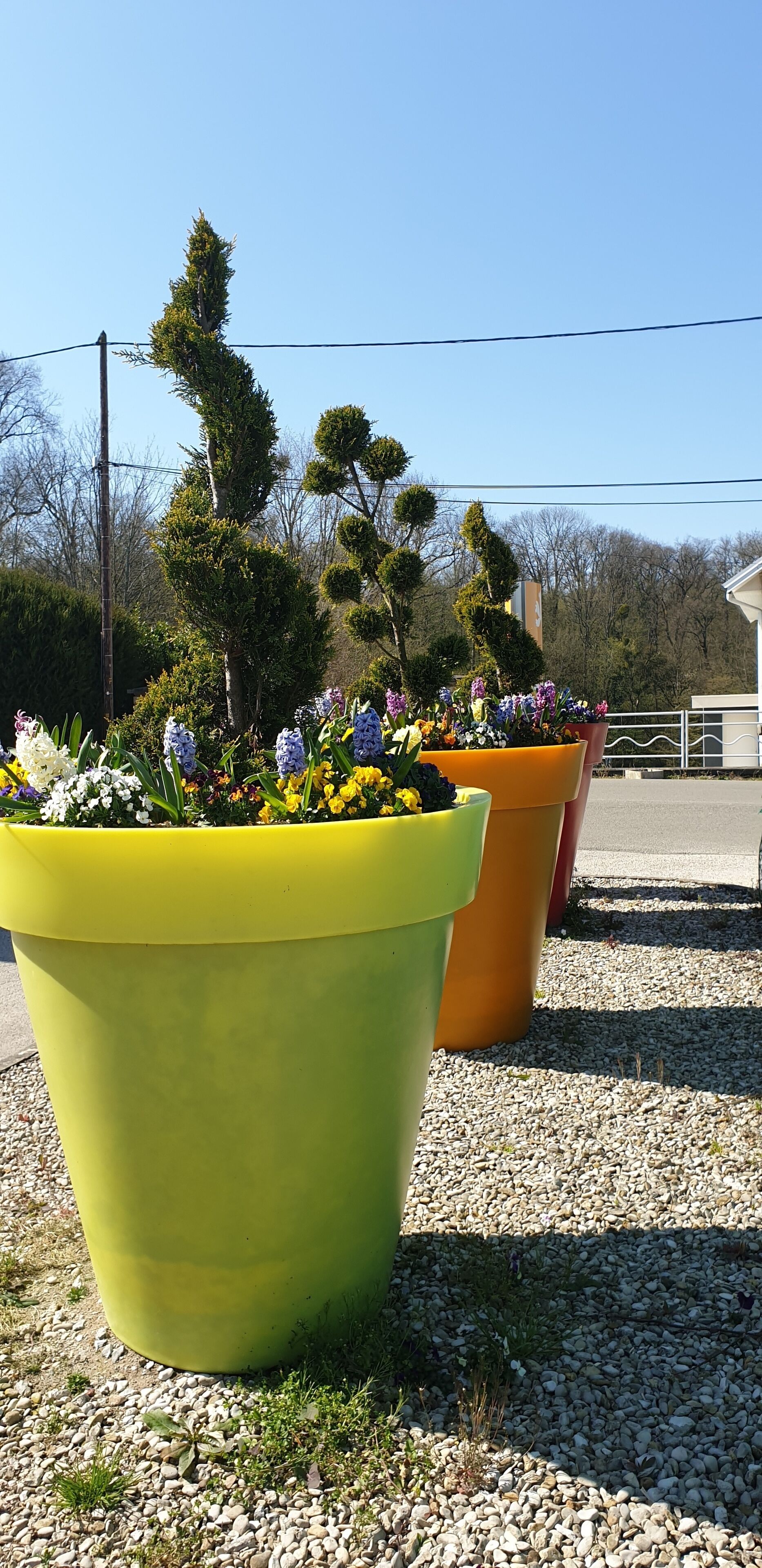 Detalle del exterior