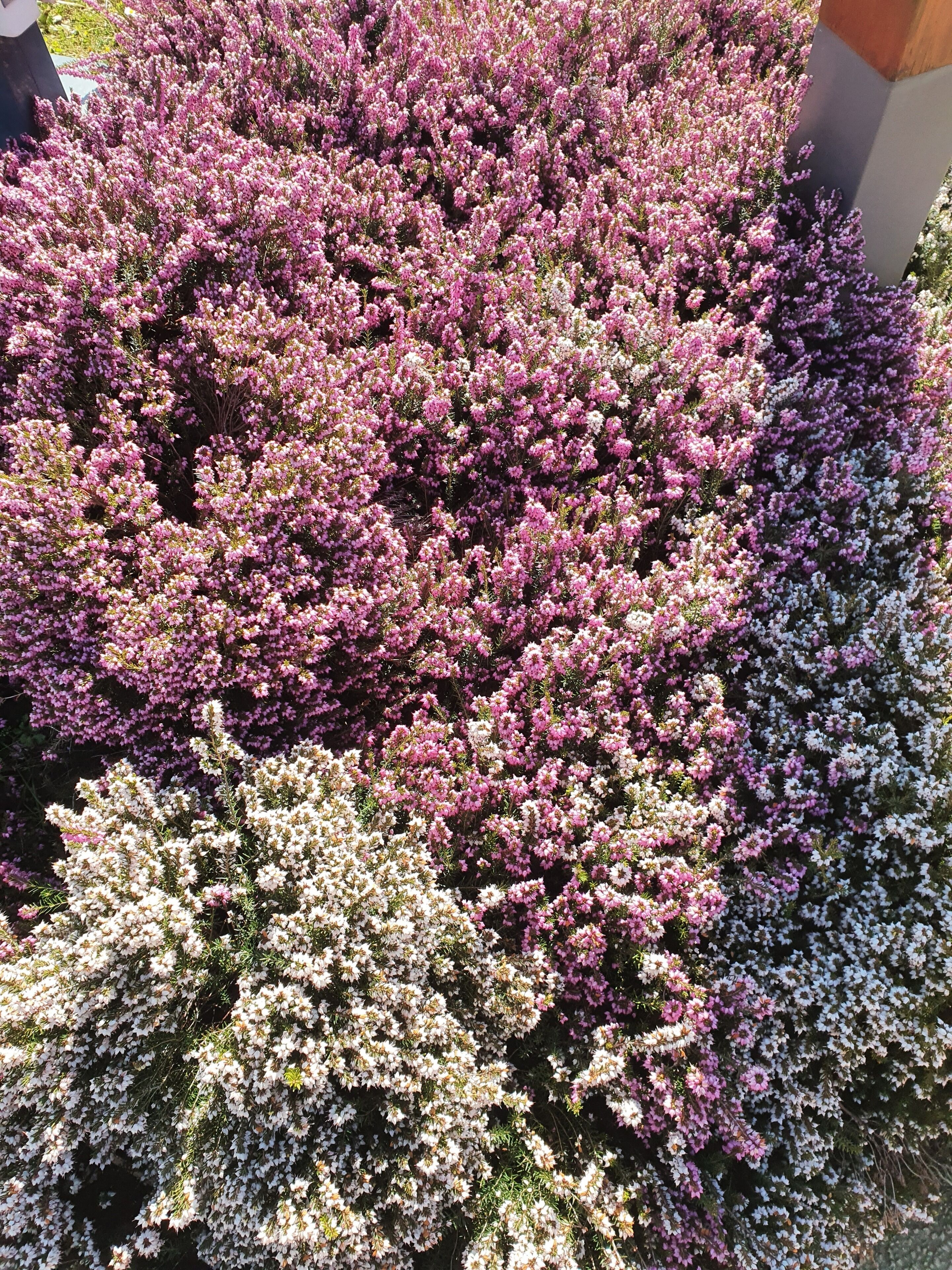 Photo - Premiere Classe Besancon Ecole Valentin