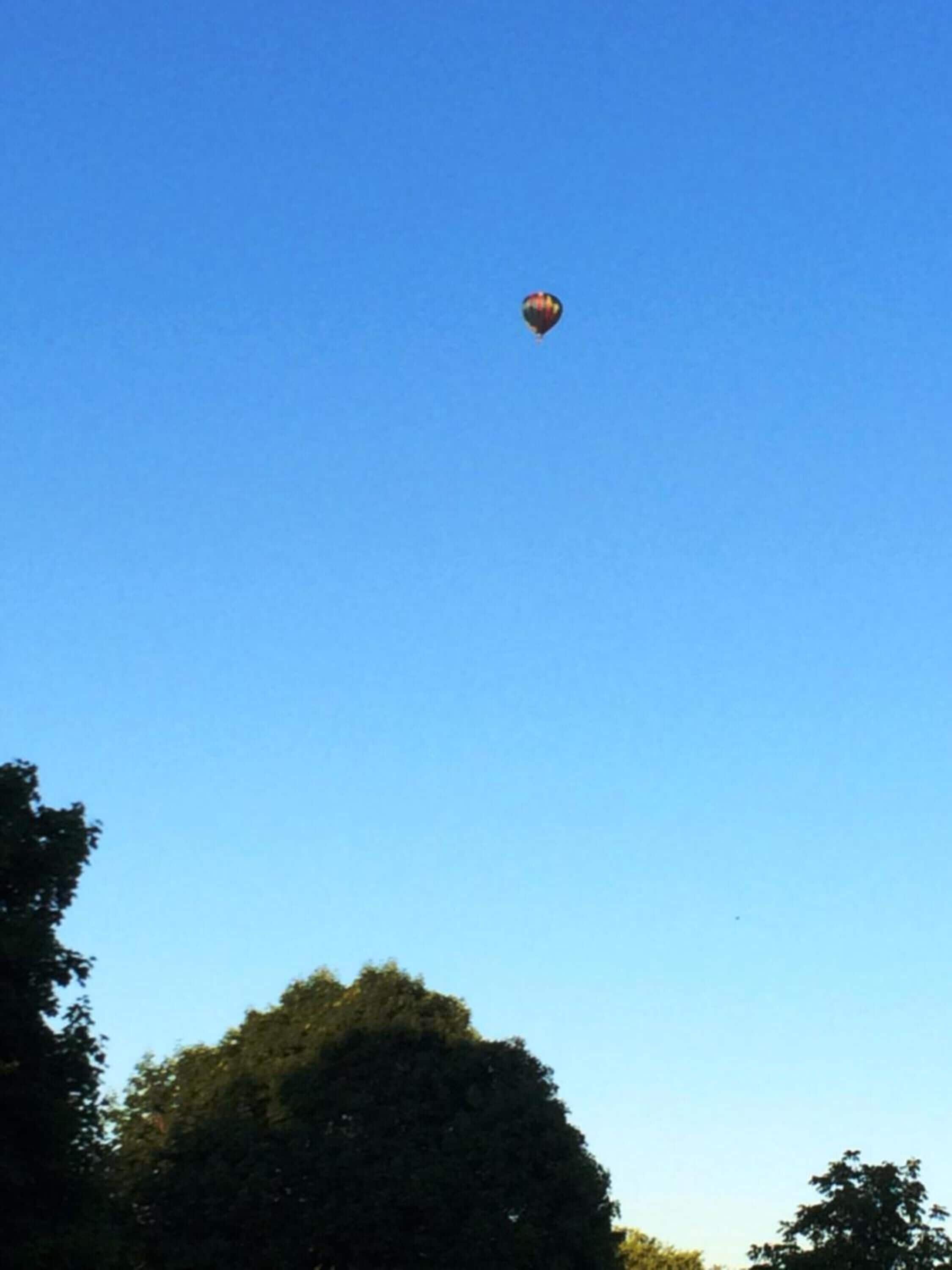 A hot air balloon in the sky with trees in the foreground.