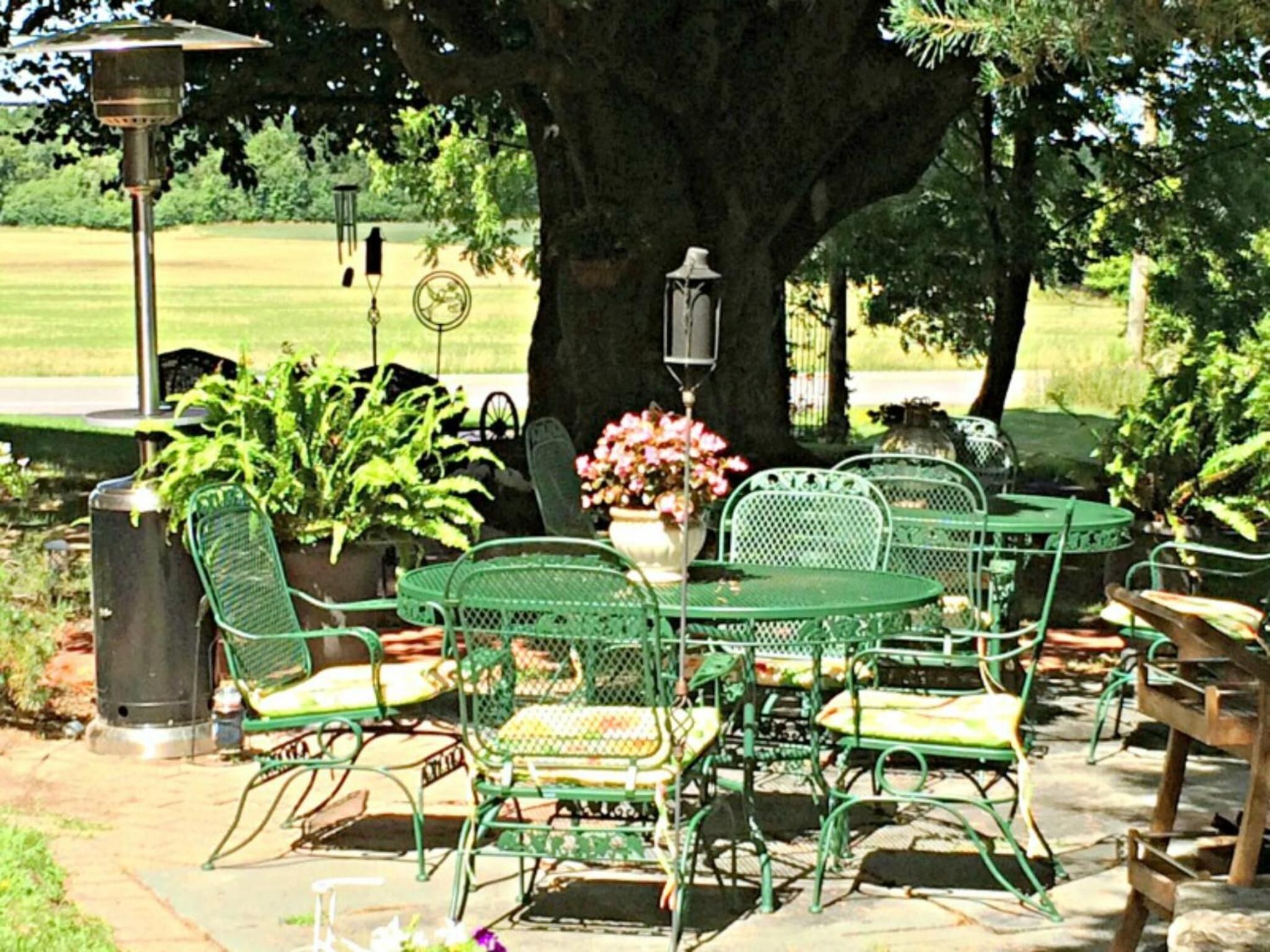 Un patio al aire libre con sillas y mesas de metal verde, rodeado de plantas en macetas y un gran árbol.