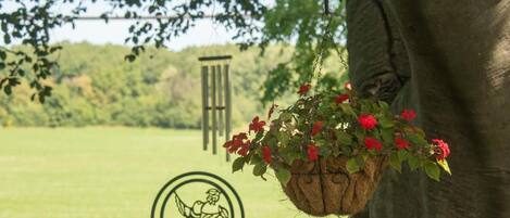 Entorno rústico al aire libre con un gran árbol, una maceta colgante, una rueda de carruaje antigua y un letrero con un ciclista.