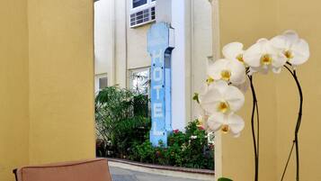 A hotel entrance with a clear view of the building's facade, a glass table with a potted orchid, and a brown chair.