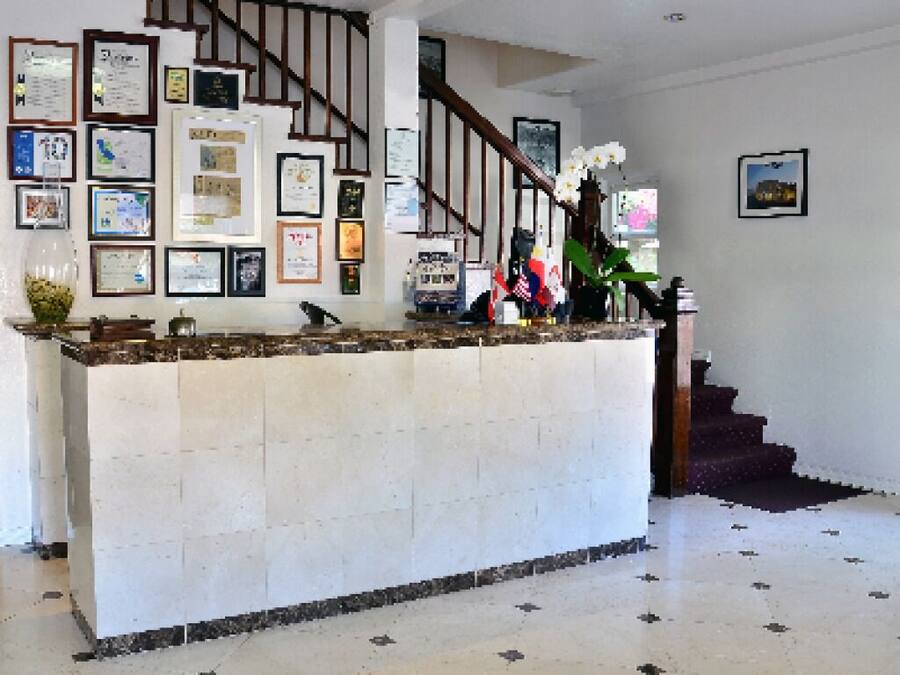 Un espace d’accueil avec un comptoir, des certificats encadrés accrochés au mur, un escalier et une plante en pot.