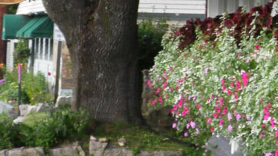 Wildcat Inn & Tavern