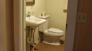 A small, compact bathroom with a sink, toilet, and mirror. - Wildcat Inn & Tavern (Jackson)