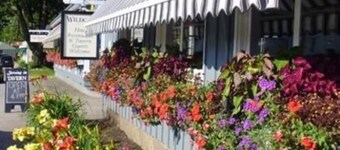 野貓客棧 & 酒館