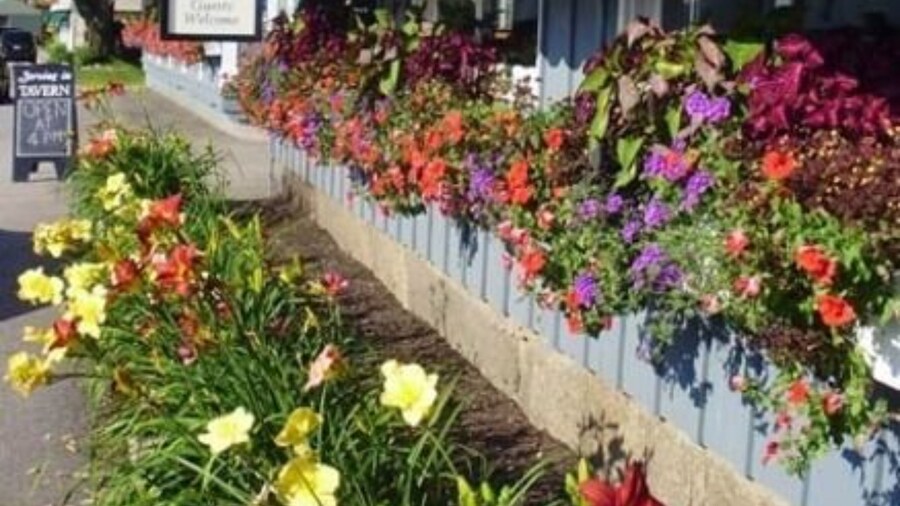 Wildcat Inn & Tavern