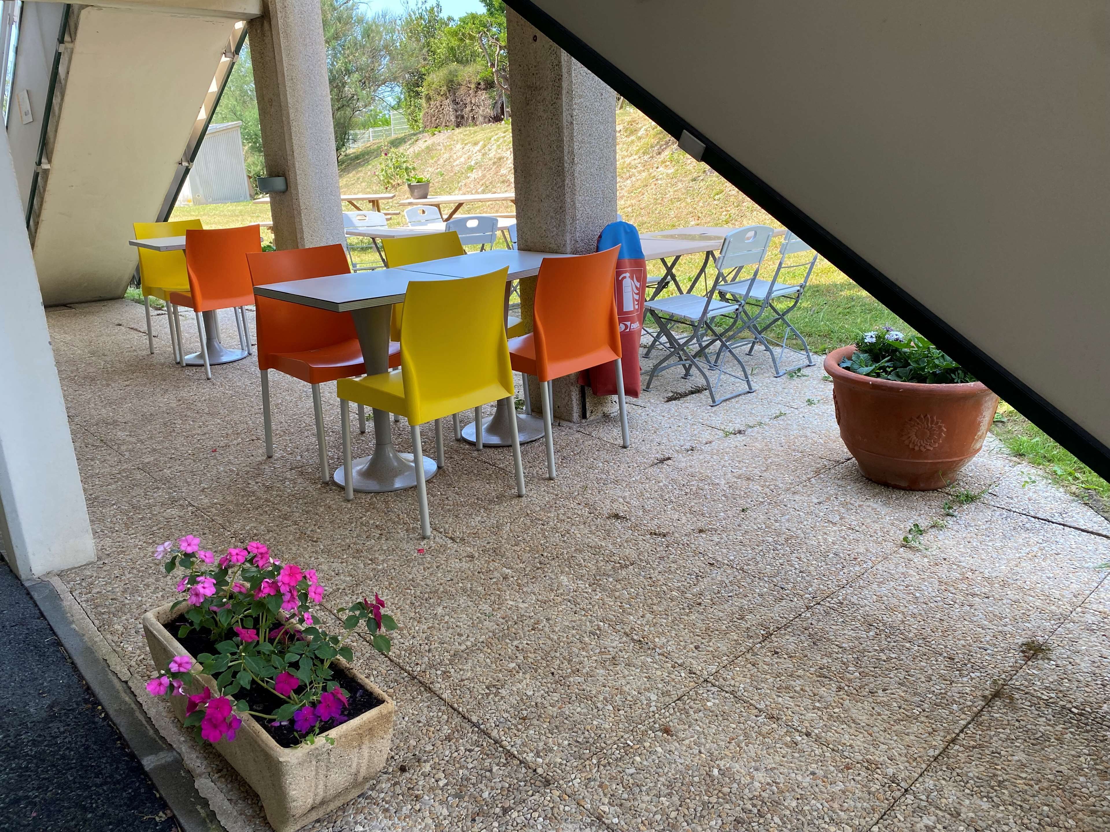Un patio al aire libre con mesas y sillas, una planta en maceta y una jardinera.
