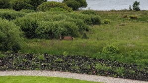 A coastal landscape with a grassy foreground, a rocky outcrop, and the sea in the background. - The Isle of Mull Hotel and Spa (Isle of Mull)