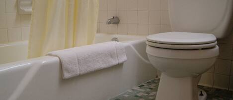 Une salle de bain avec une baignoire, des toilettes et un rideau de douche.