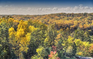 部屋からの景観
