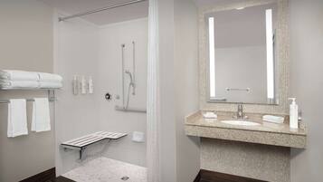 Room, Accessible | Bathroom shower