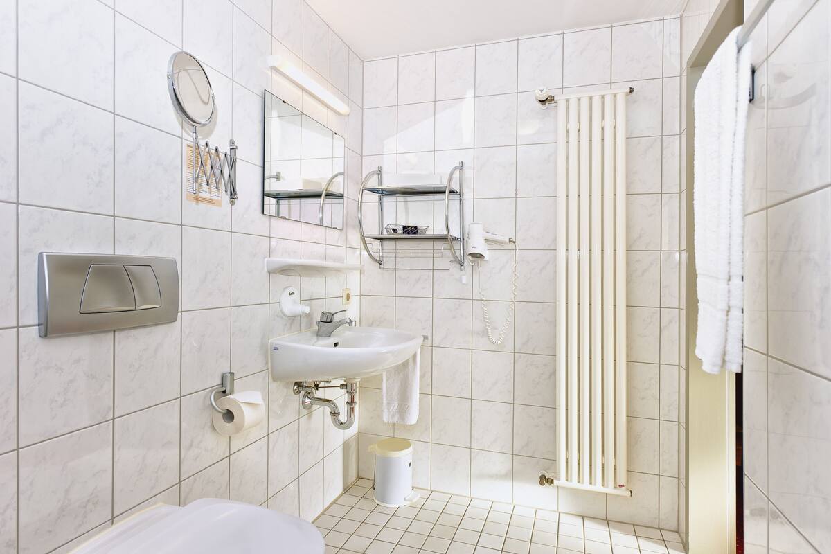 shower, free toiletries, hair dryer, towels