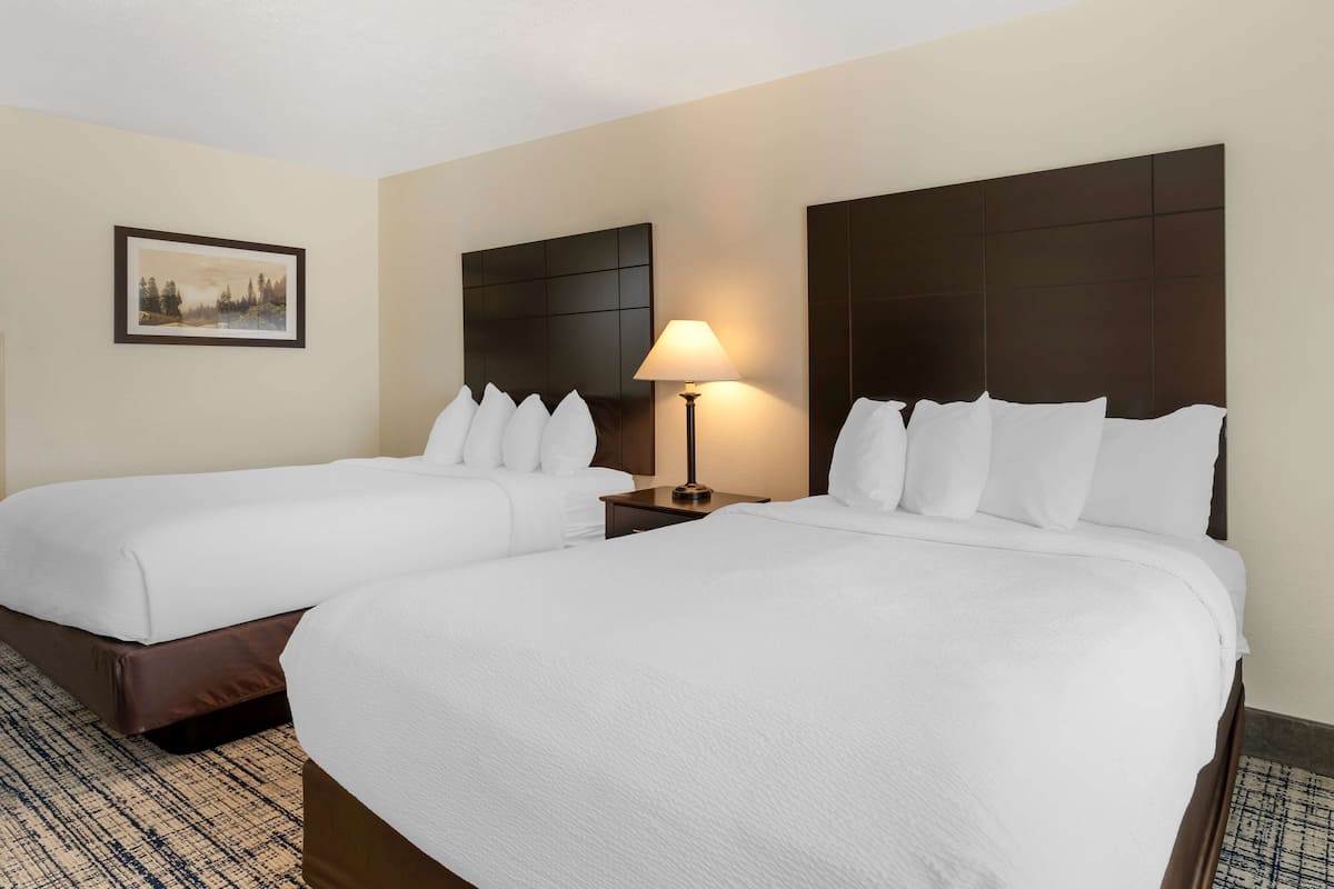 Ein Hotelzimmer mit zwei Betten, einem Nachttisch mit Lampe, einem gerahmten Bild an der Wand und einem gemusterten Teppich.