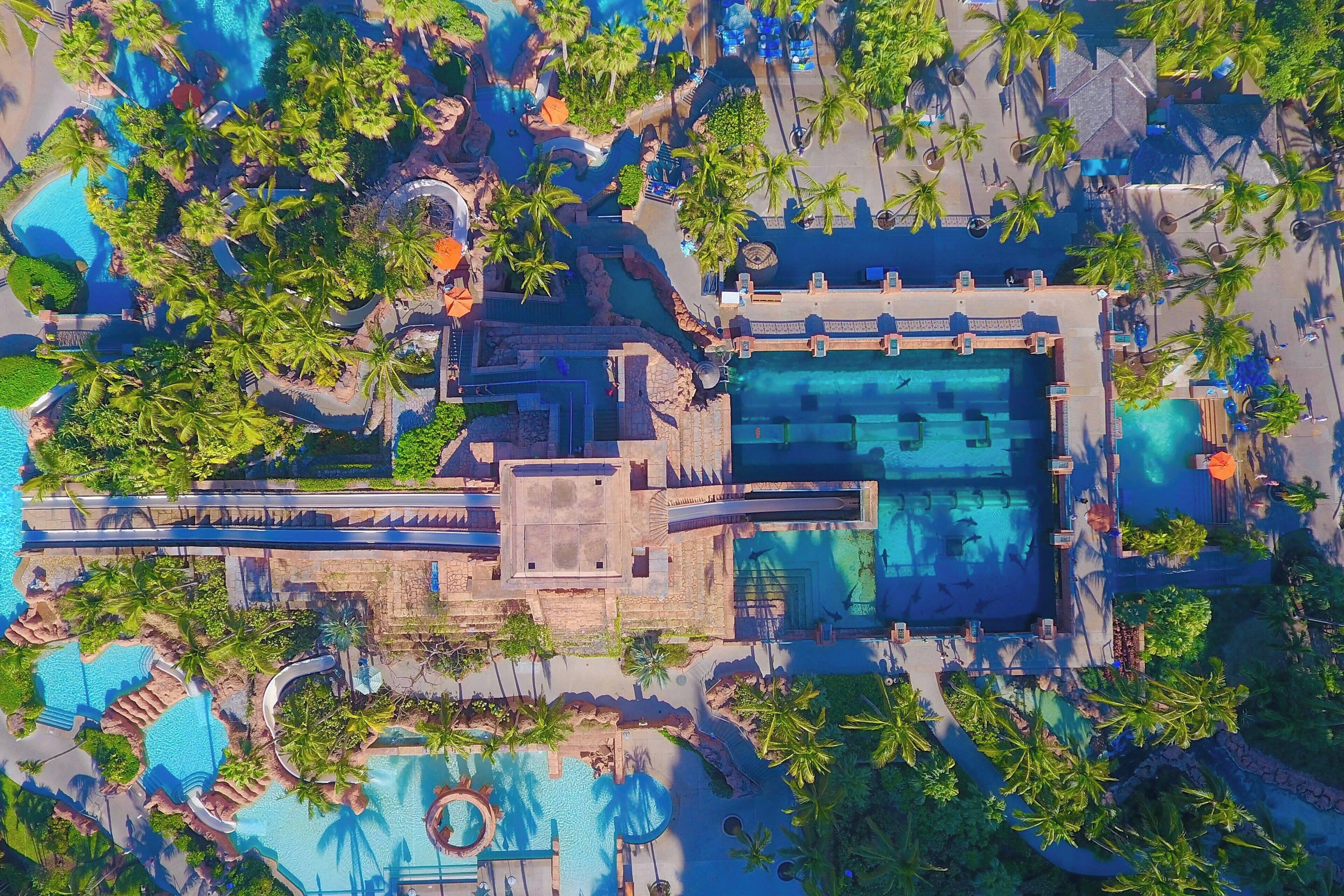 Photo - The Cove at Atlantis