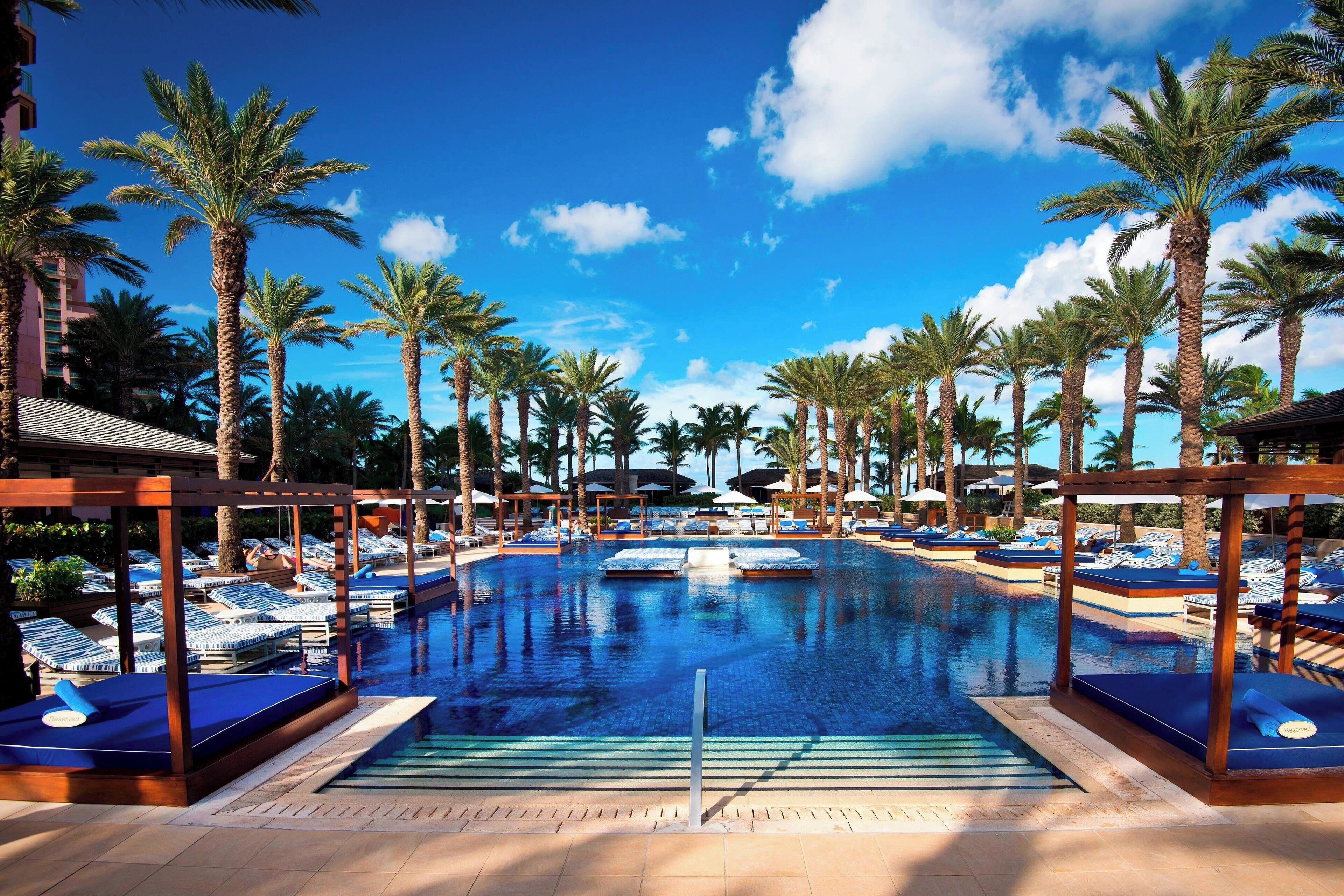 室外游泳池，收费帐篷屋，日光浴躺椅