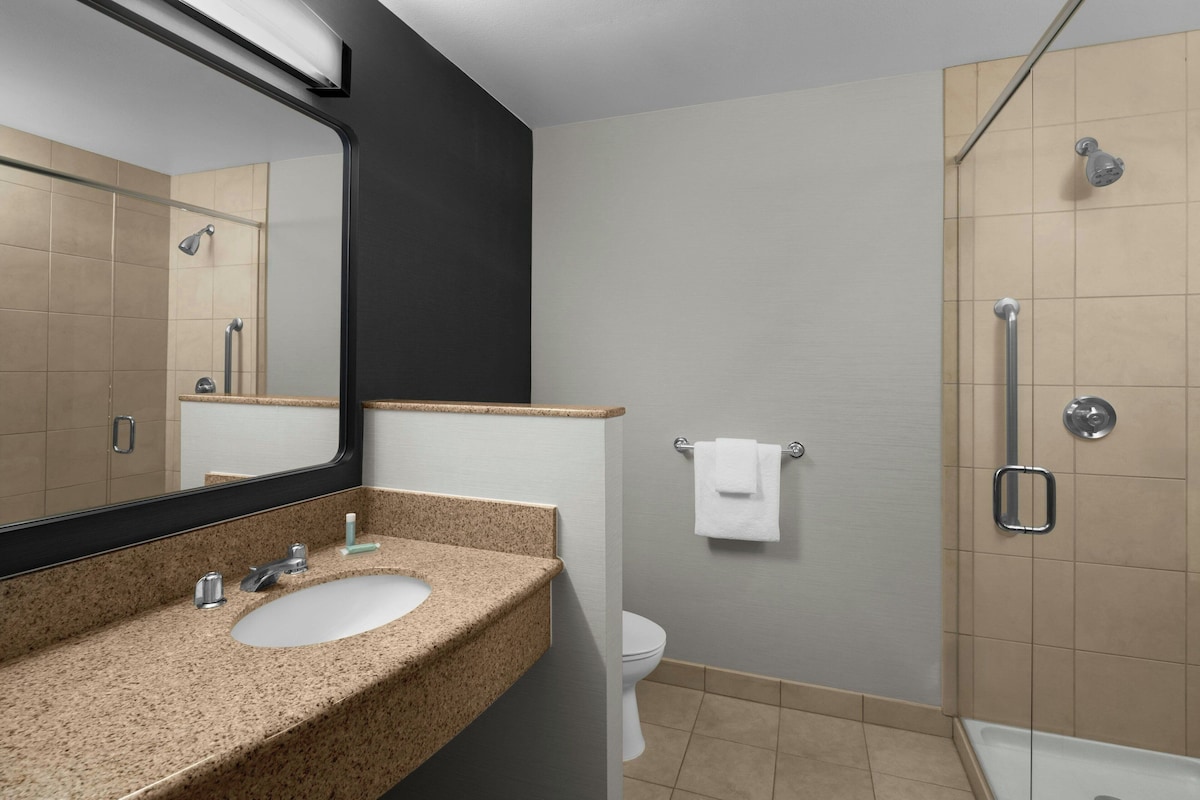 Een moderne badkamer met een wastafel van graniet, een grote spiegel, een toilet en een douchehoek.