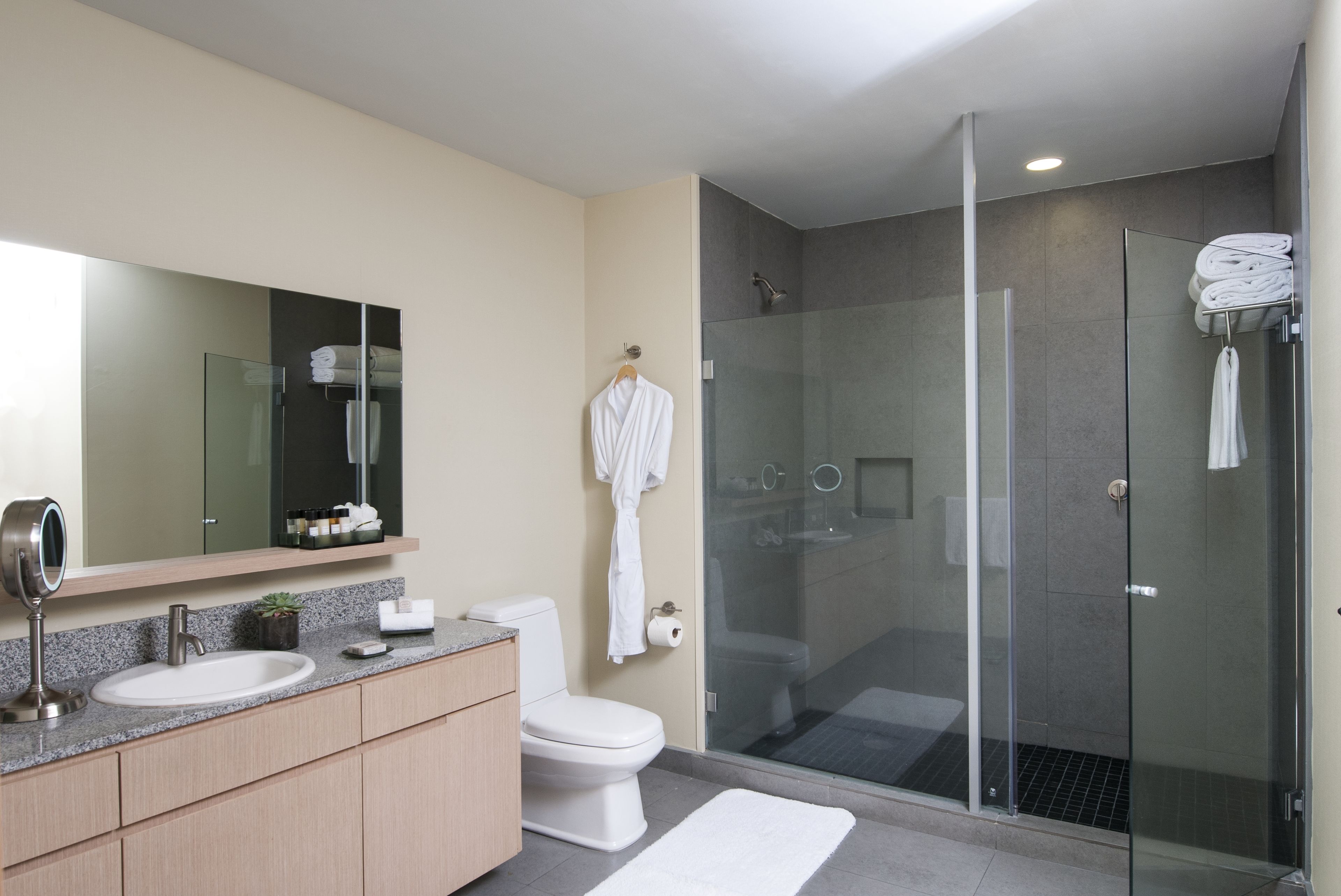 A modern bathroom with a glass-enclosed shower, a sink with a mirror, and a toilet.