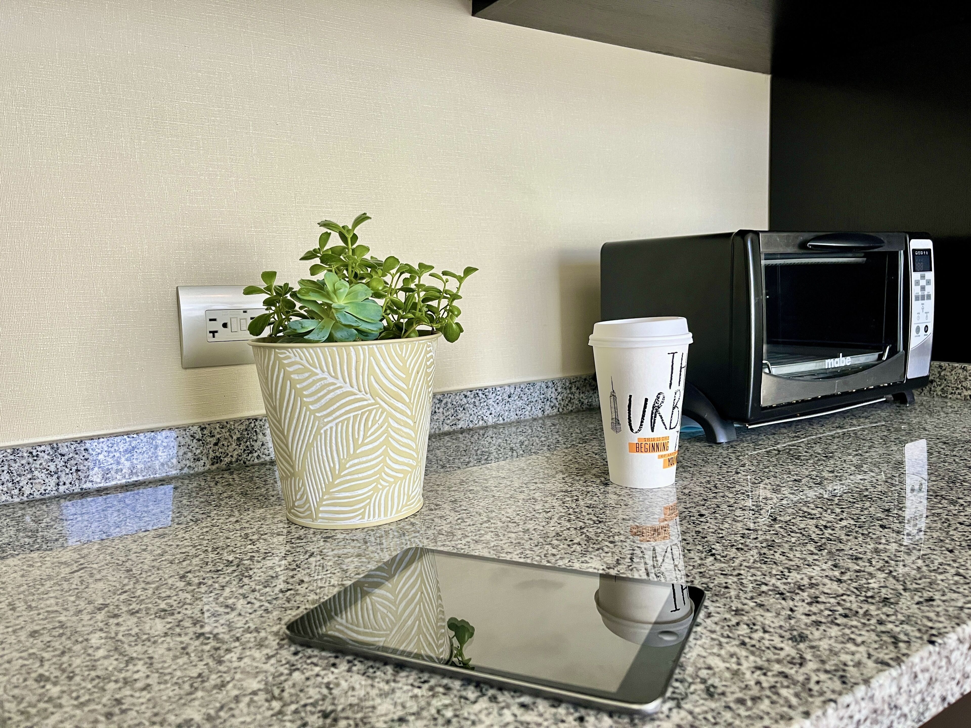 A countertop with a potted plant, a disposable coffee cup, and a microwave oven.