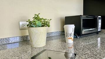 Una encimera con una planta en maceta, un vaso de café desechable y un microondas.