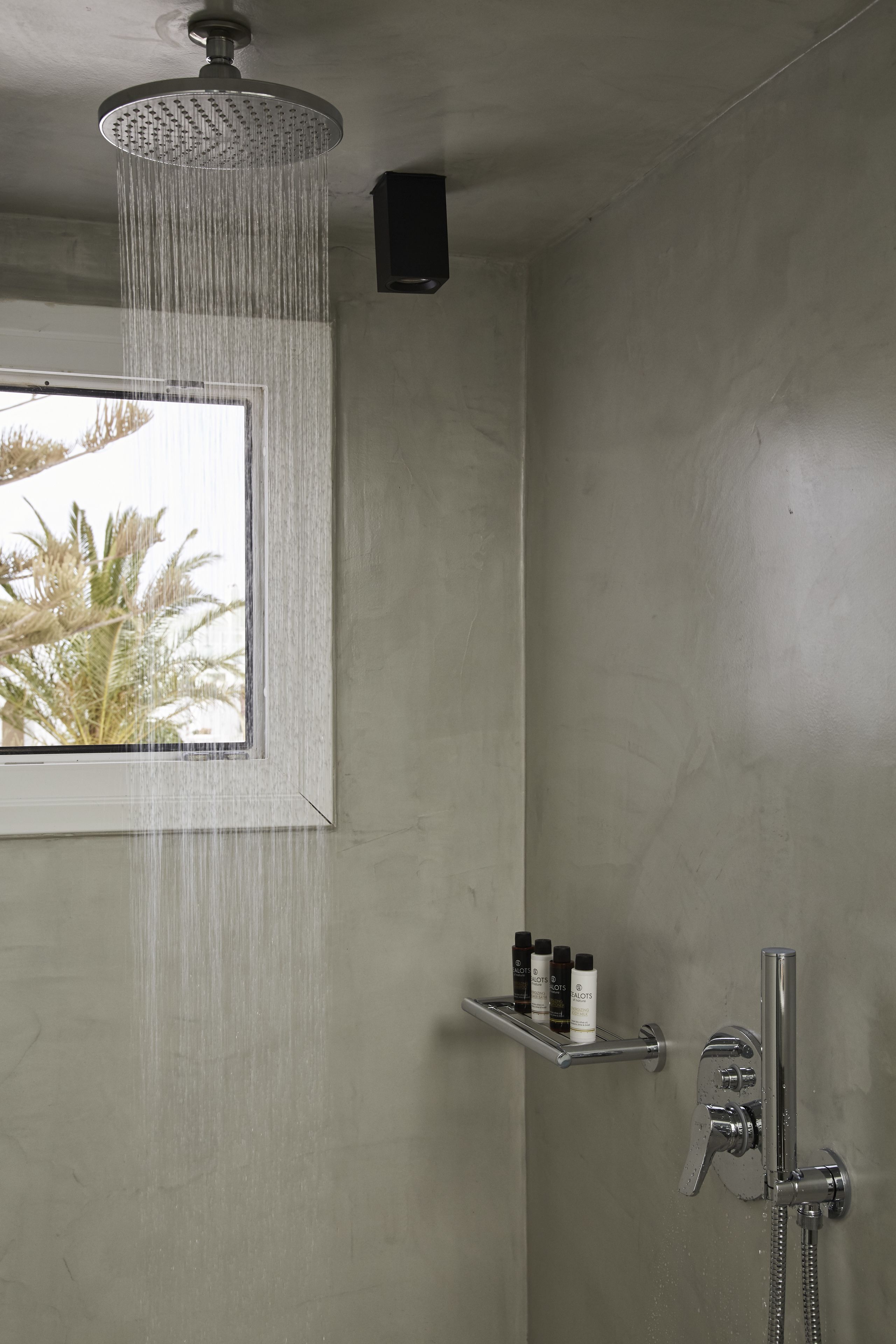 A shower with a rain showerhead, a window with a view of palm trees, and a shelf with toiletries.
