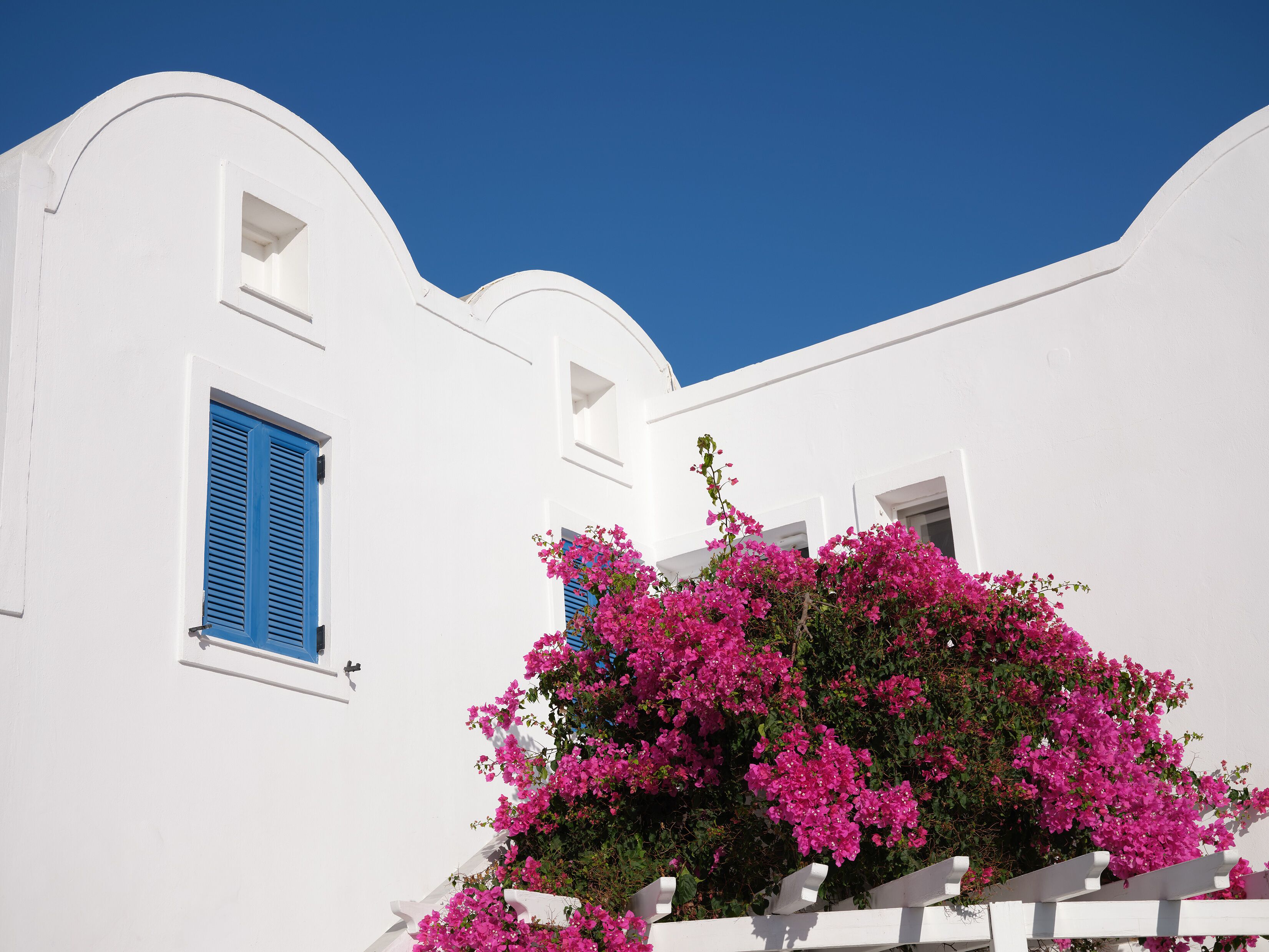 A white building with blue shutters and pink bougainvillea flowers.