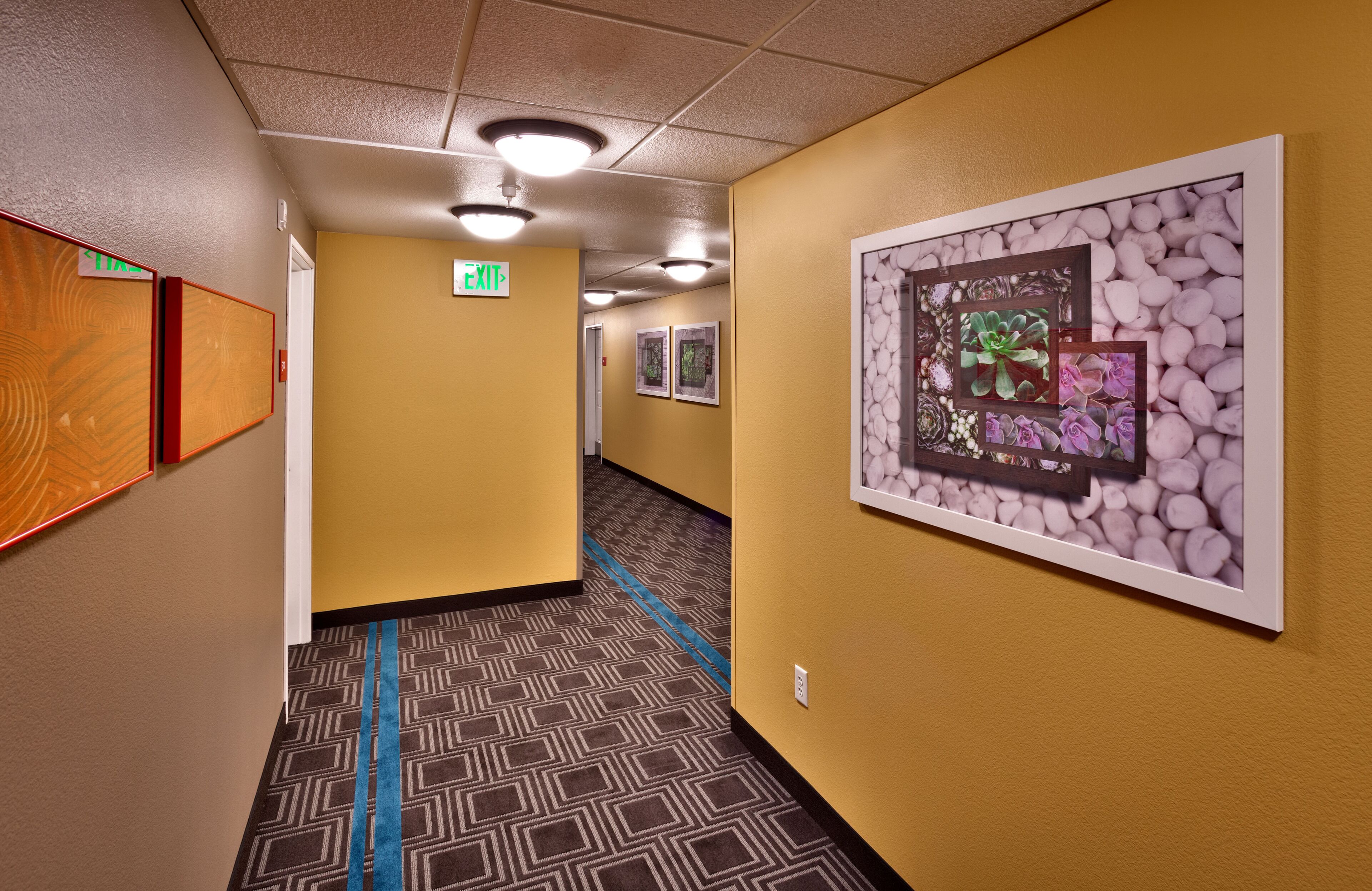 Un couloir d’hôtel avec un tapis à motifs, des murs jaunes et des œuvres d’art encadrées.