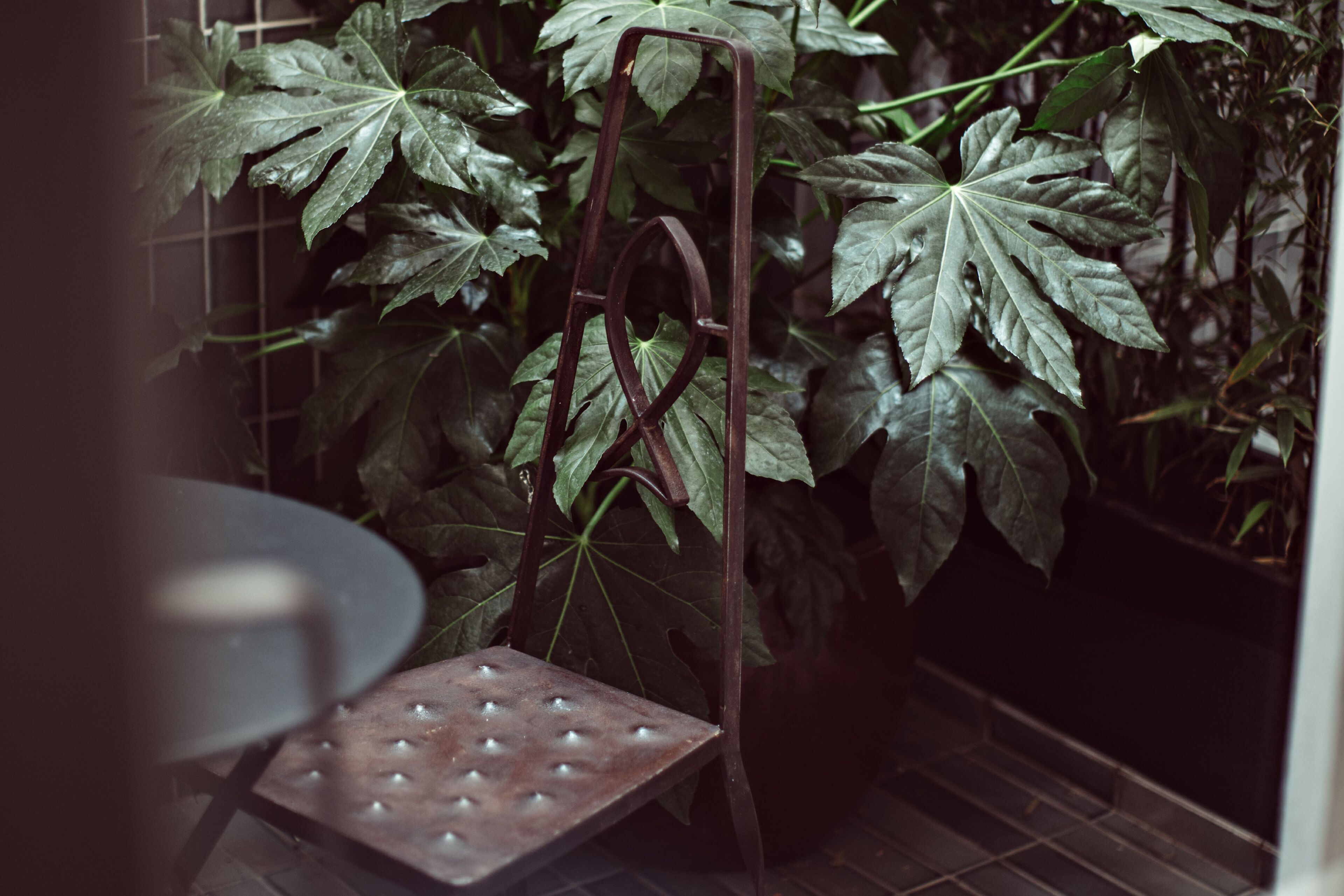 superior room, terrace | terrace/patio