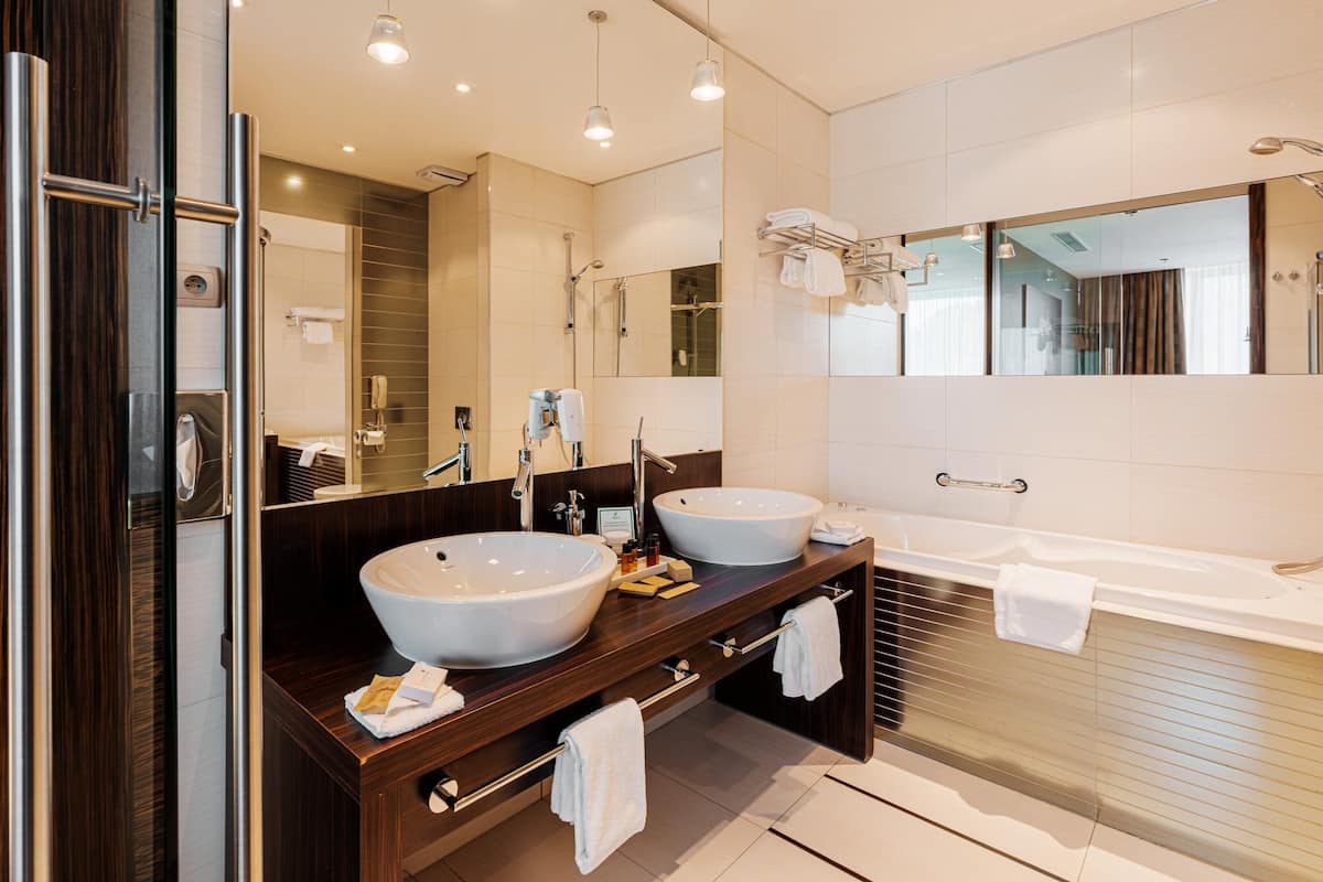 combined shower/bathtub, free toiletries, hair dryer, bathrobes