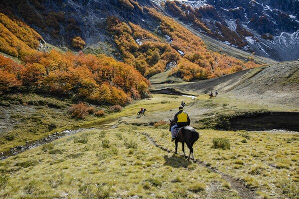 Un paisaje montañoso con un arroyo y árboles de colores otoñales.