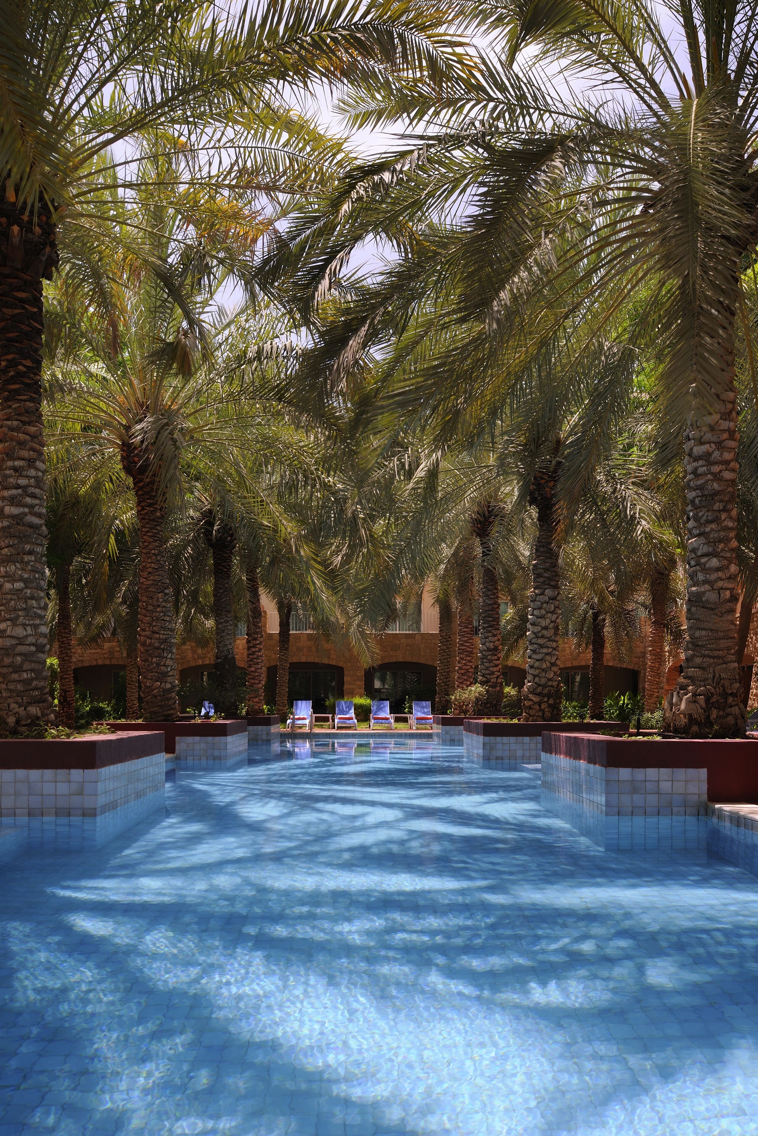 A pool area surrounded by palm trees, with lounge chairs and a tiled pool floor.