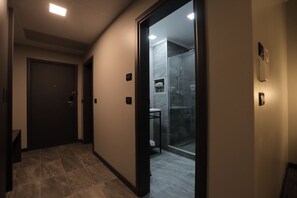 Douche, douche à « effet pluie », articles de toilette de luxe