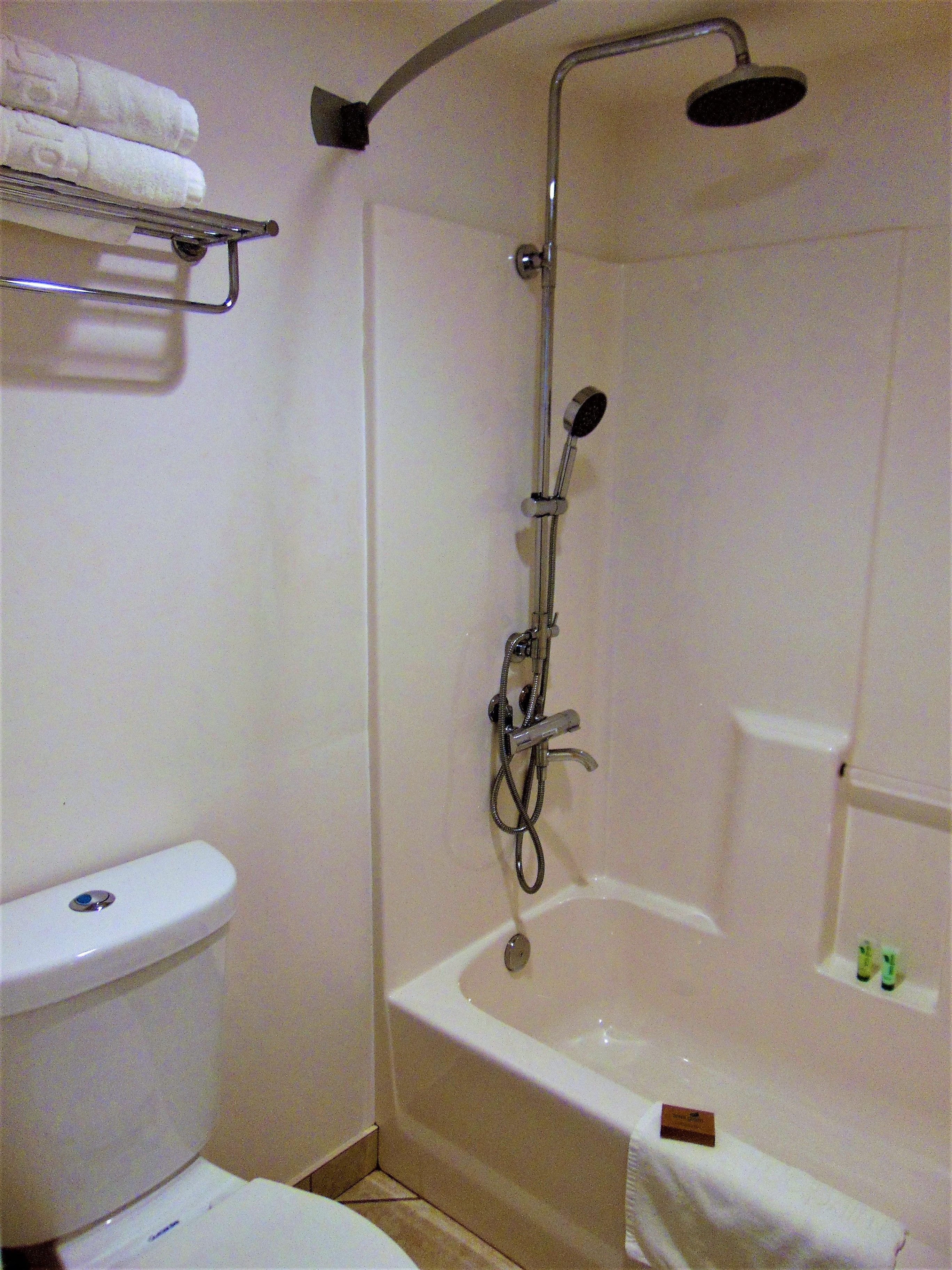 Baño con ducha, inodoro y toallero.