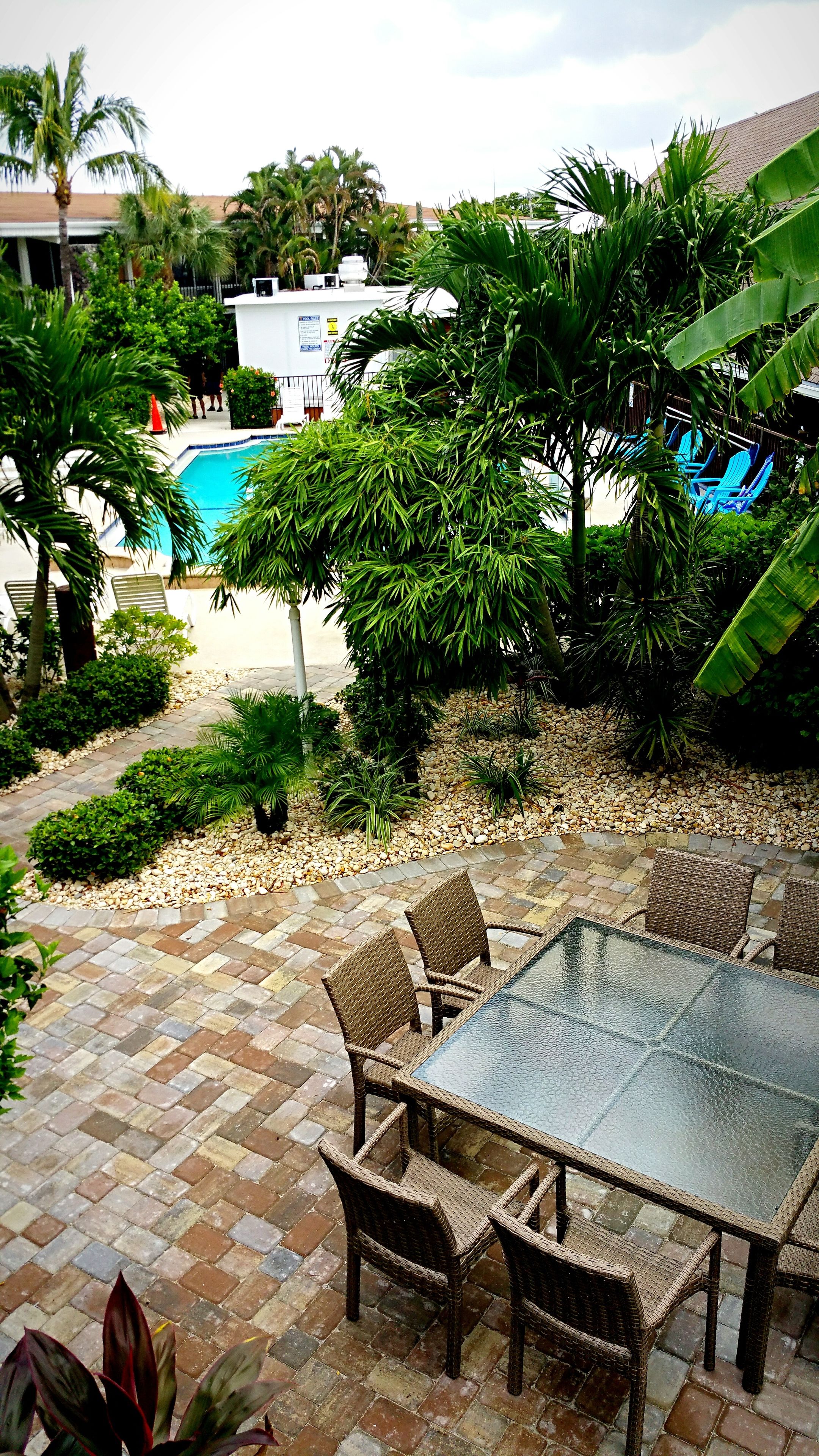 A patio area with a glass table and wicker chairs, surrounded by a garden with various plants and a swimming pool in the background.