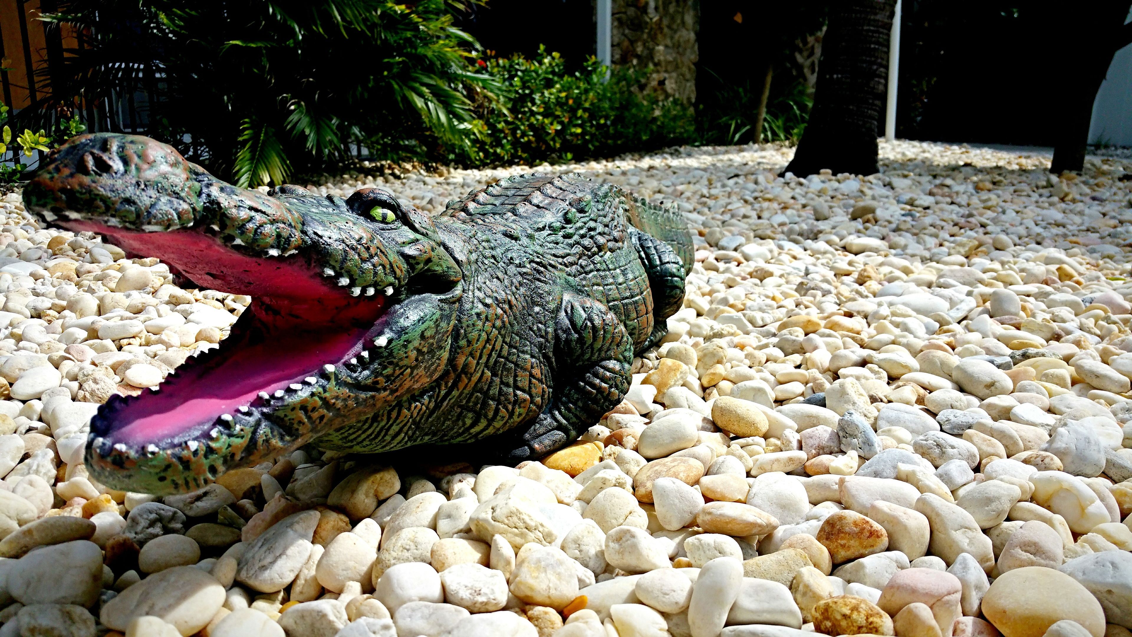 Photo - Dolphin Key Resort - Cape Coral