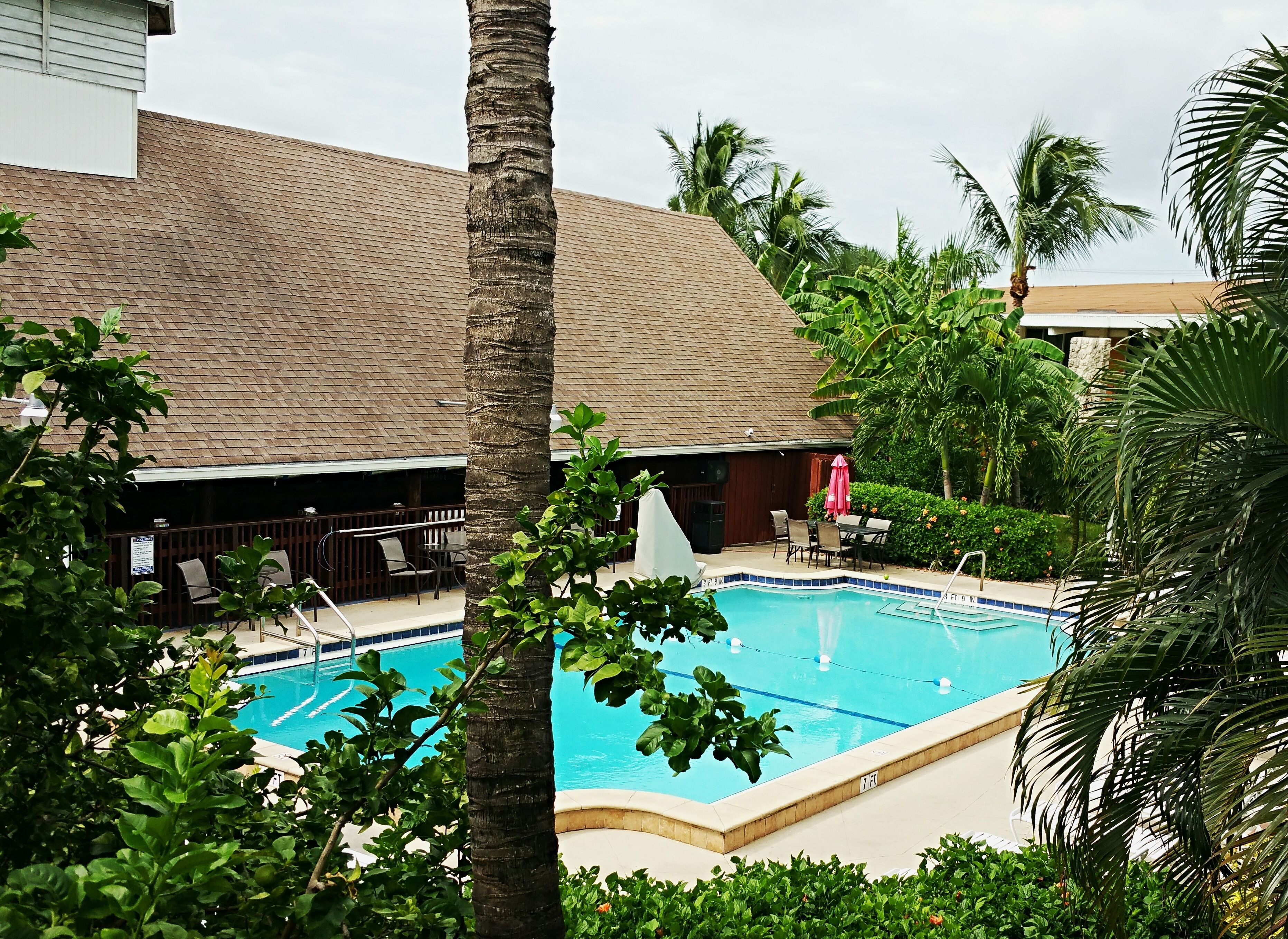 Outdoor pool, pool umbrellas, pool loungers