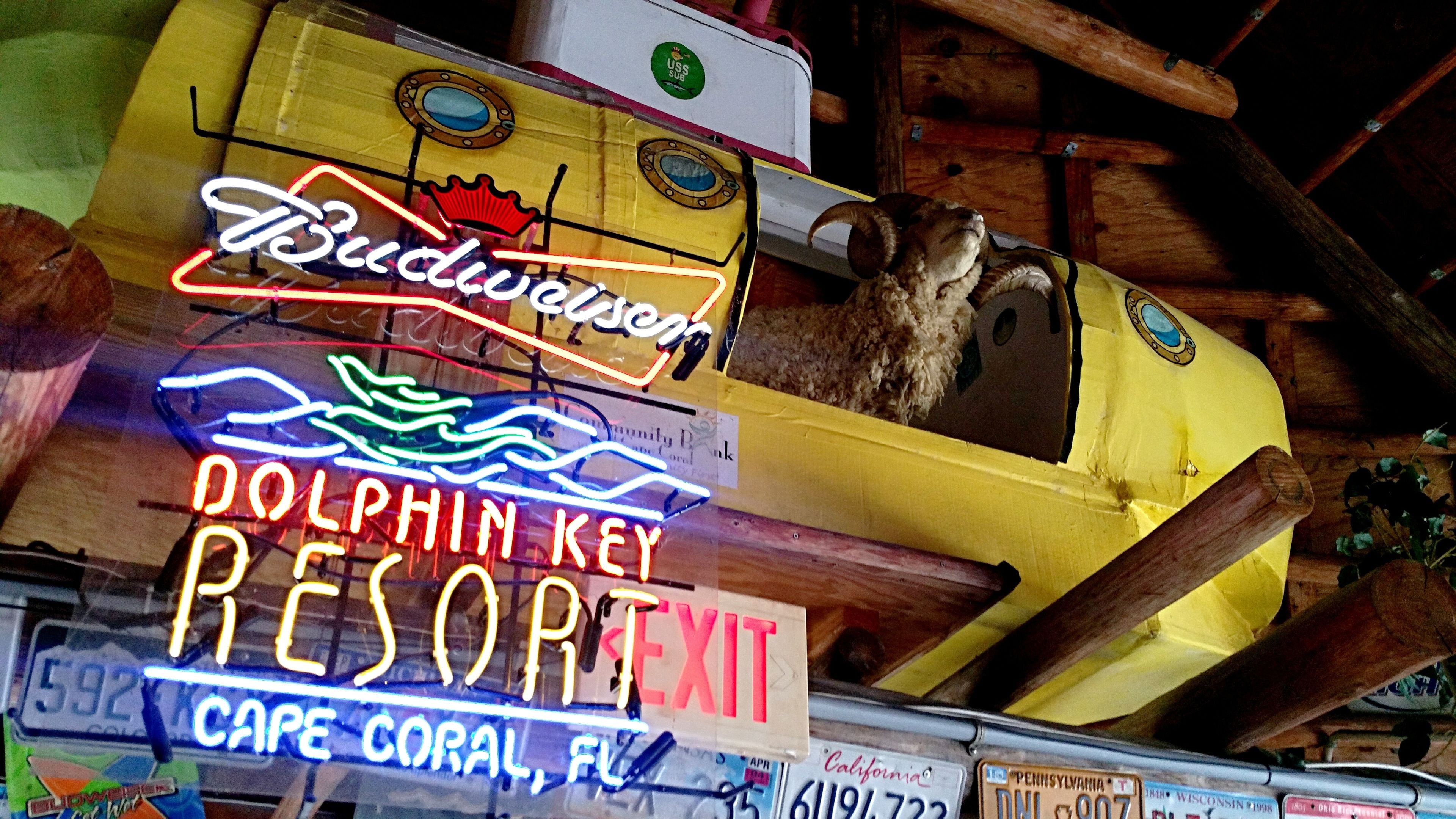 Photo - Dolphin Key Resort - Cape Coral