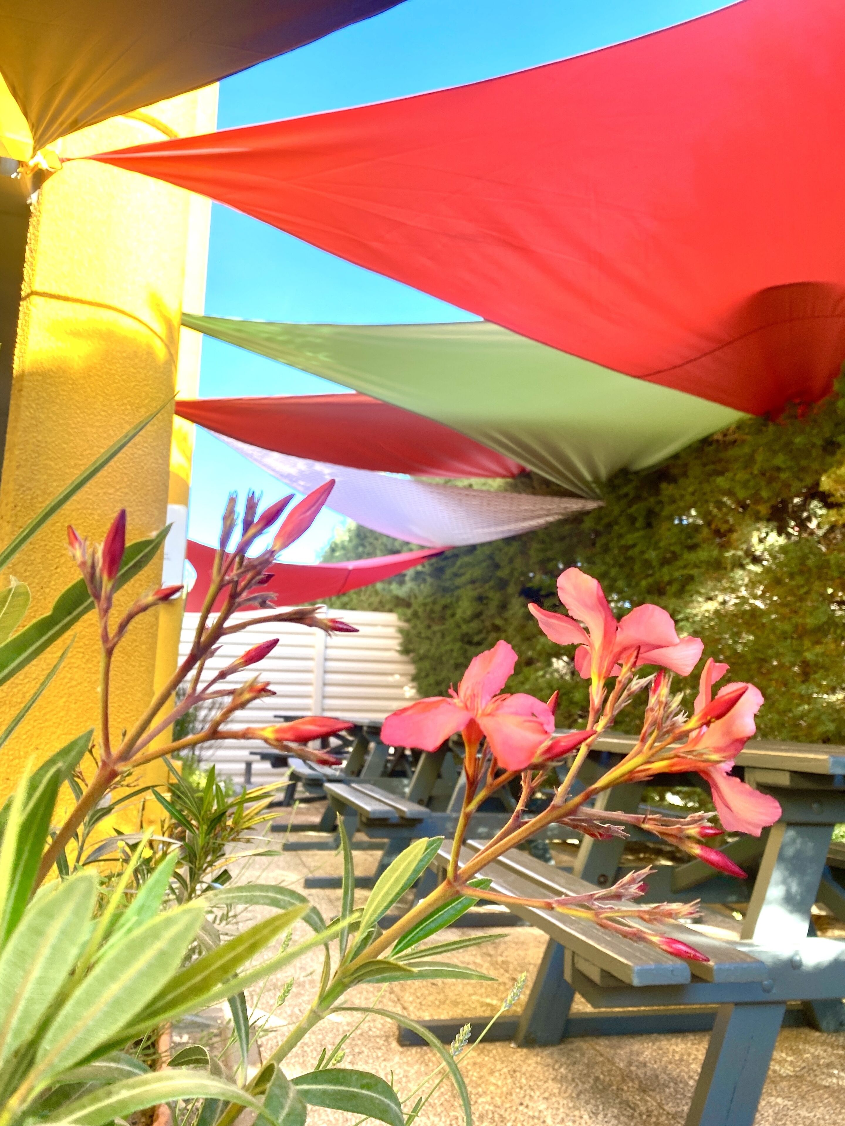 Foto - Premiere Classe Perpignan Sud