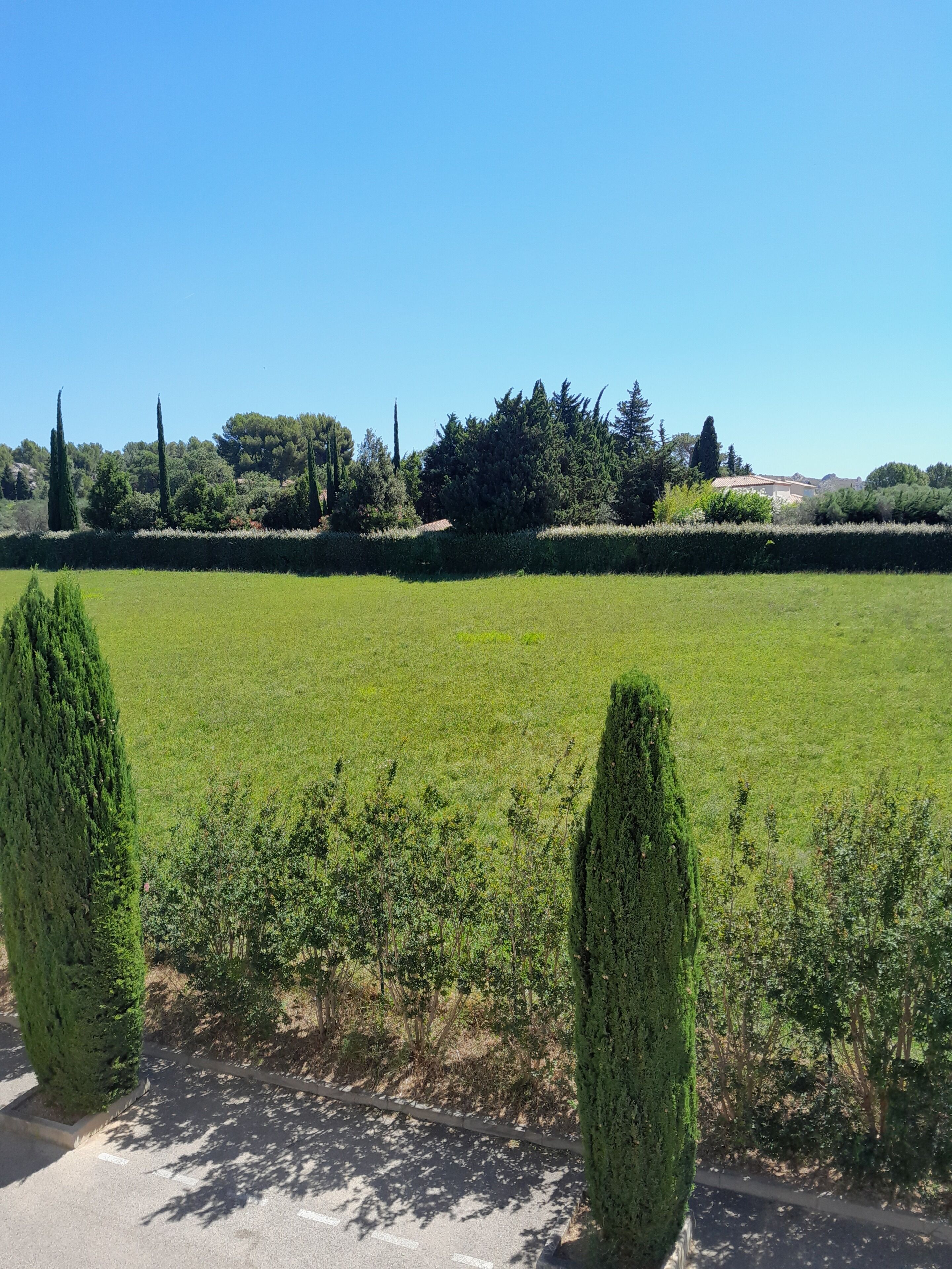 A green field with a hedge and a road in the foreground.