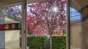 Un espace patio avec des sièges extérieurs et une vue sur un arbre aux feuilles rouges.